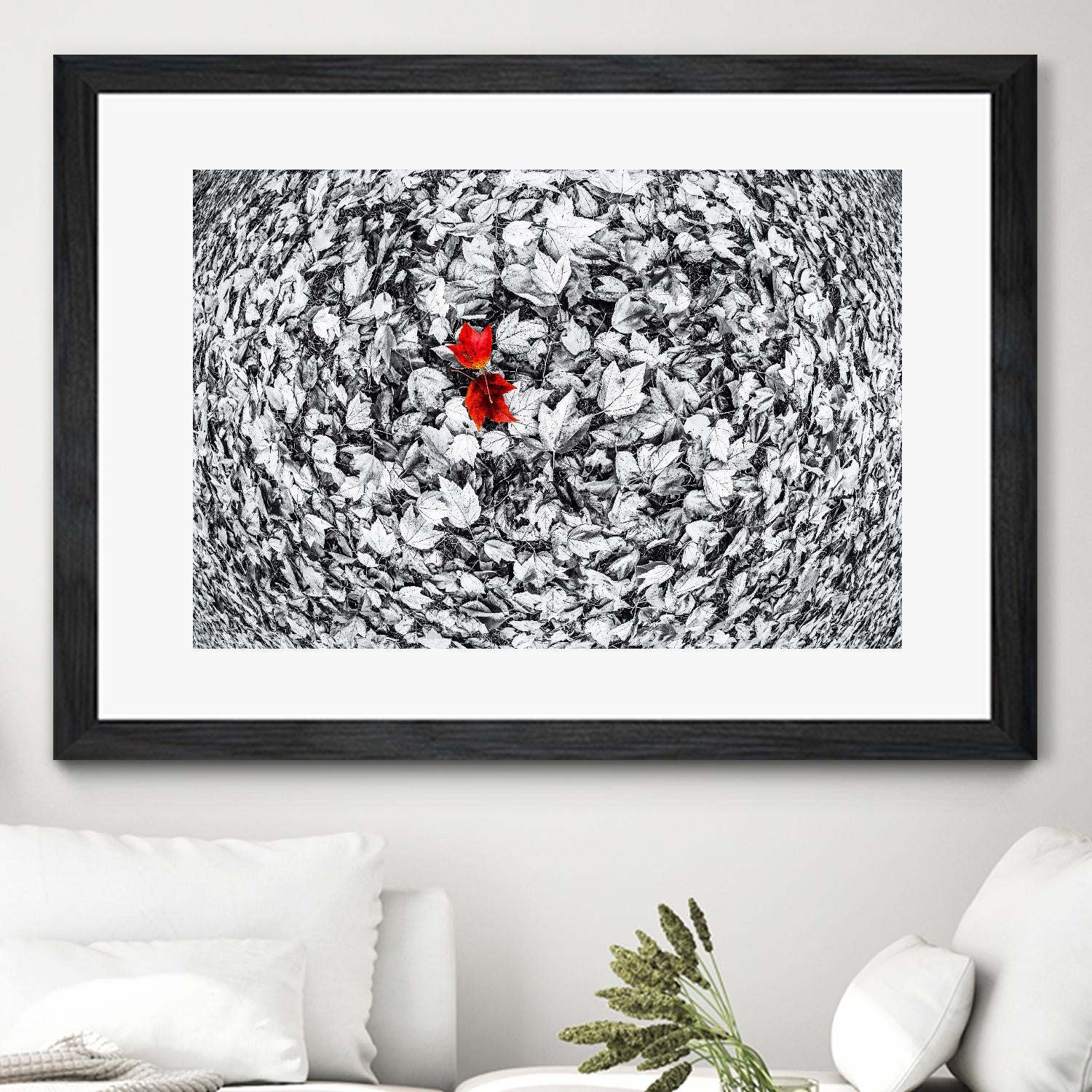 Together by Vladimir Kostka on GIANT ART - multicolor photography; floral/still life