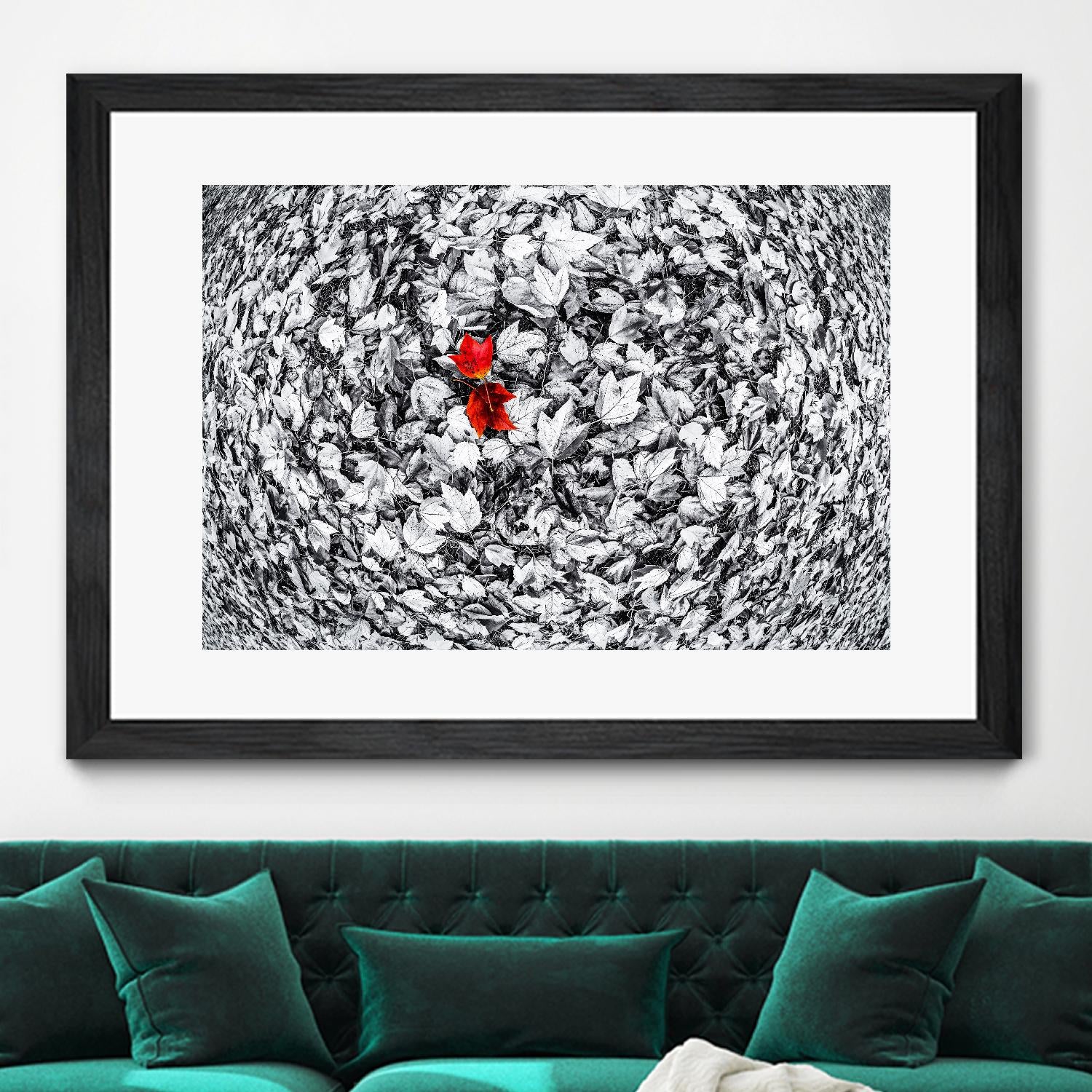 Together by Vladimir Kostka on GIANT ART - multicolor photography; floral/still life