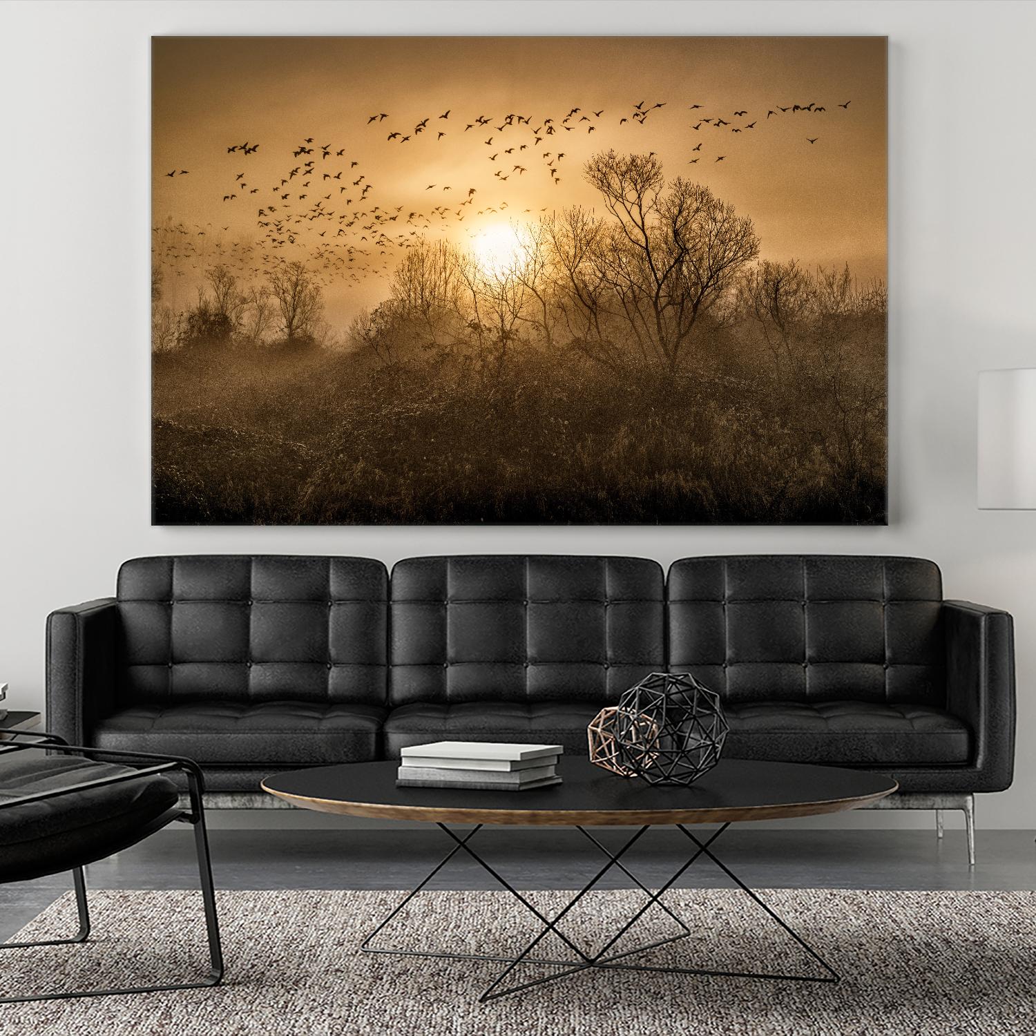 The Flight by Vladimir Kostka on GIANT ART - multicolor photography; landscapes