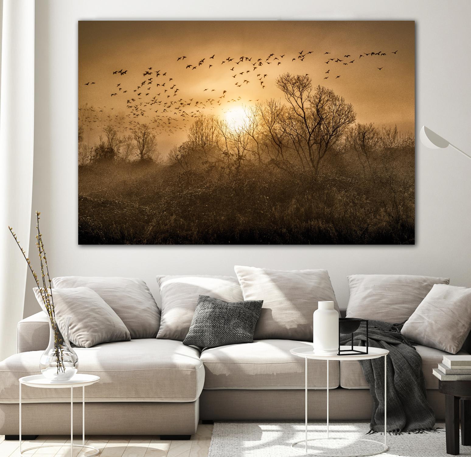 The Flight by Vladimir Kostka on GIANT ART - multicolor photography; landscapes