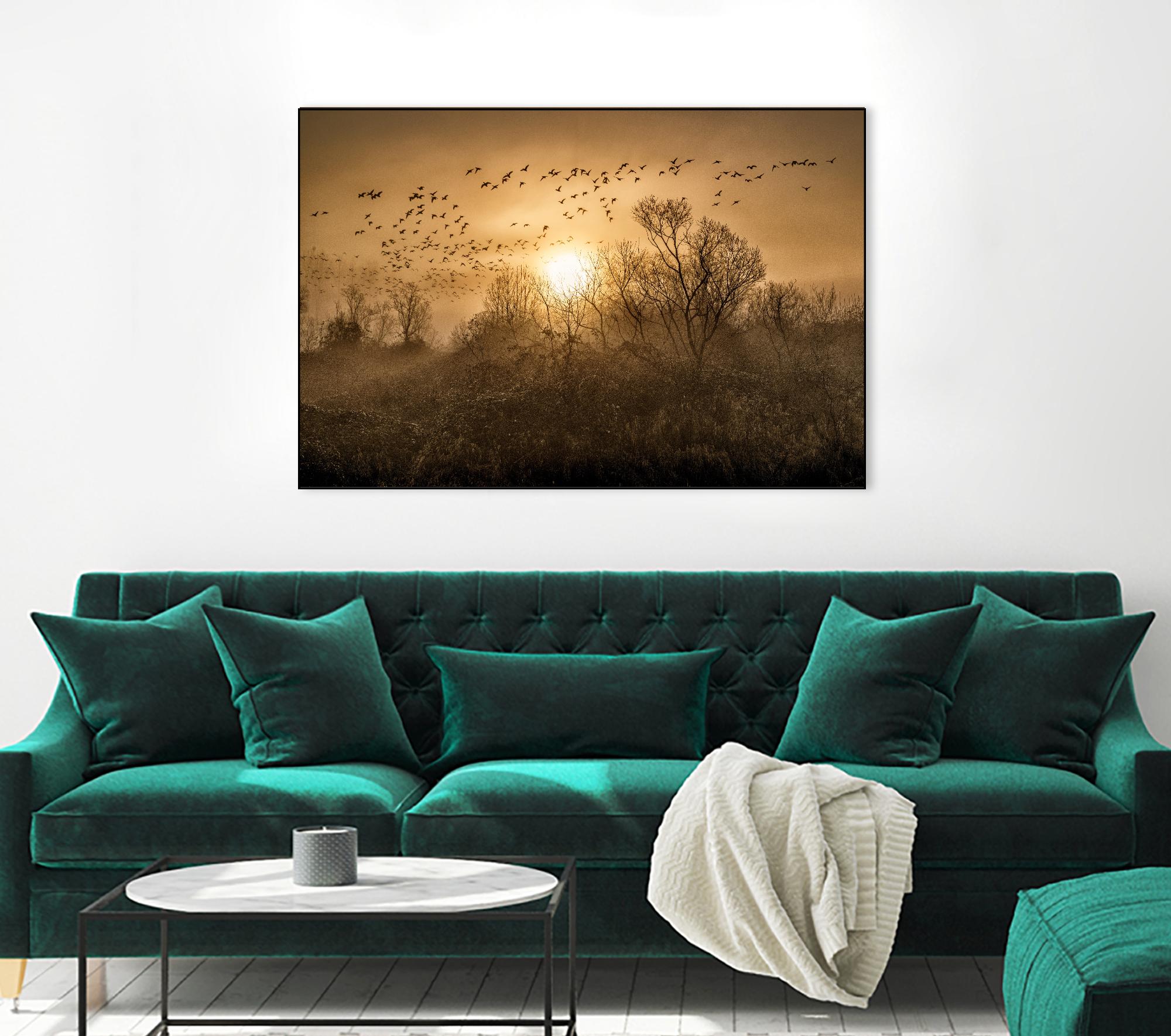 The Flight by Vladimir Kostka on GIANT ART - multicolor photography; landscapes