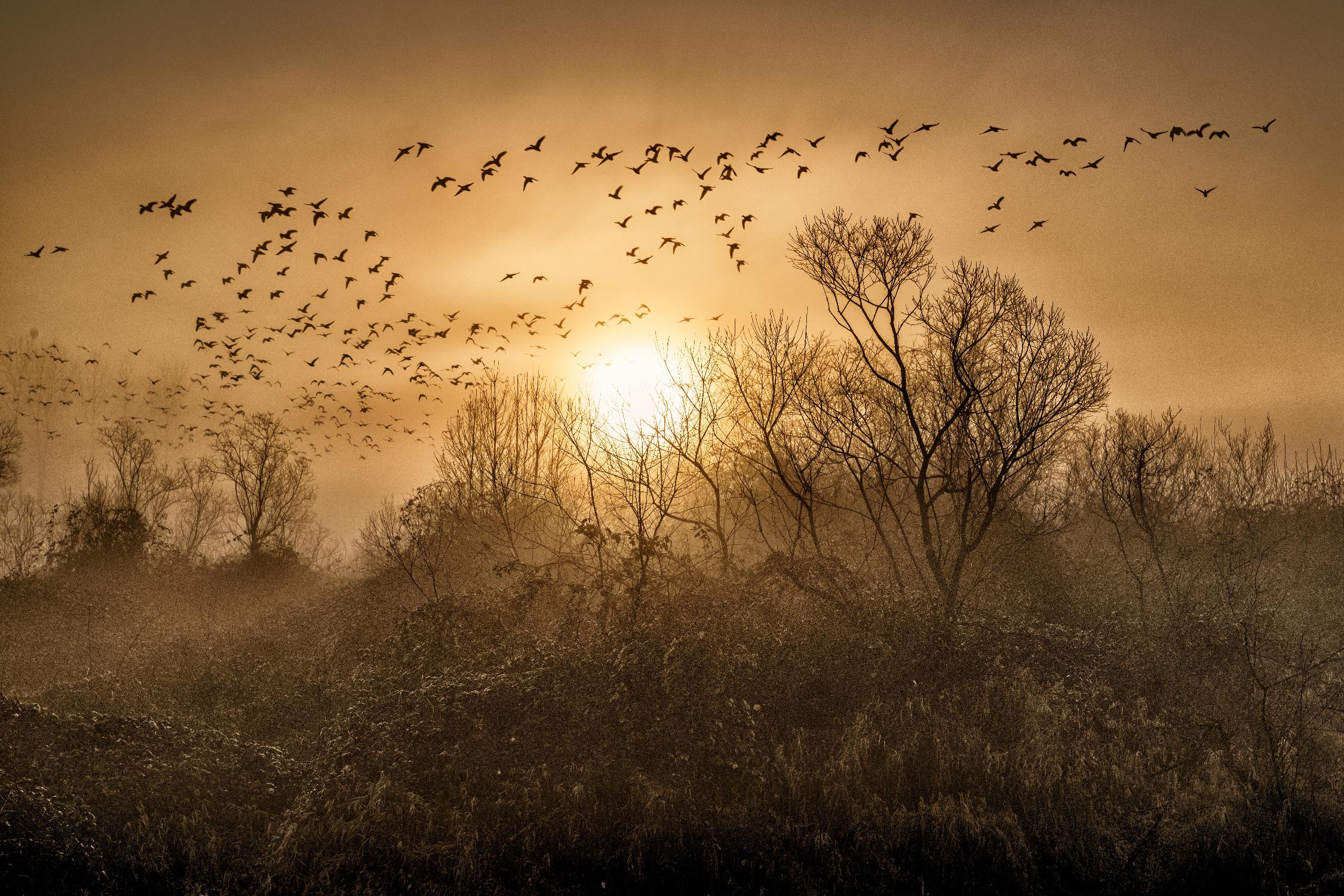 The Flight by Vladimir Kostka on GIANT ART - multicolor photography; landscapes
