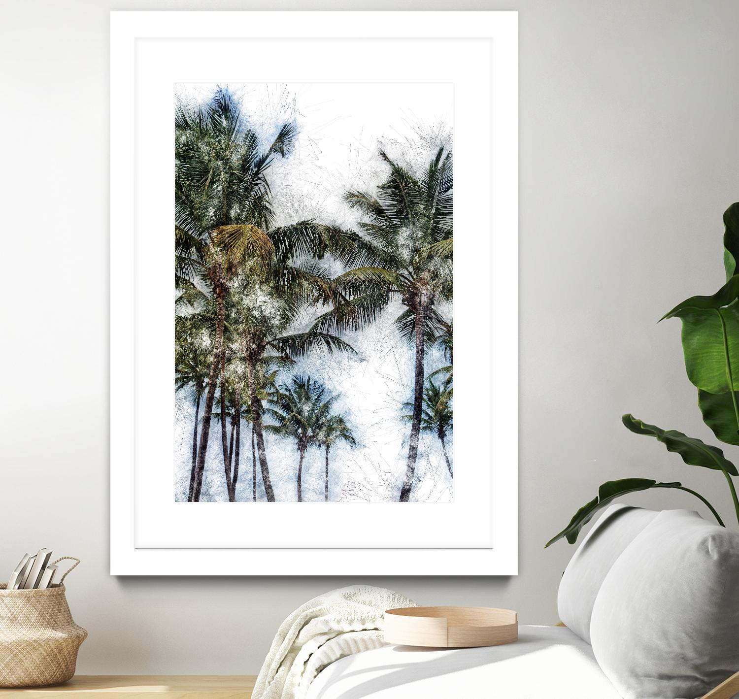 Dorado Palms 2 by Golie Miamee on GIANT ART - multicolor photography; landscapes
