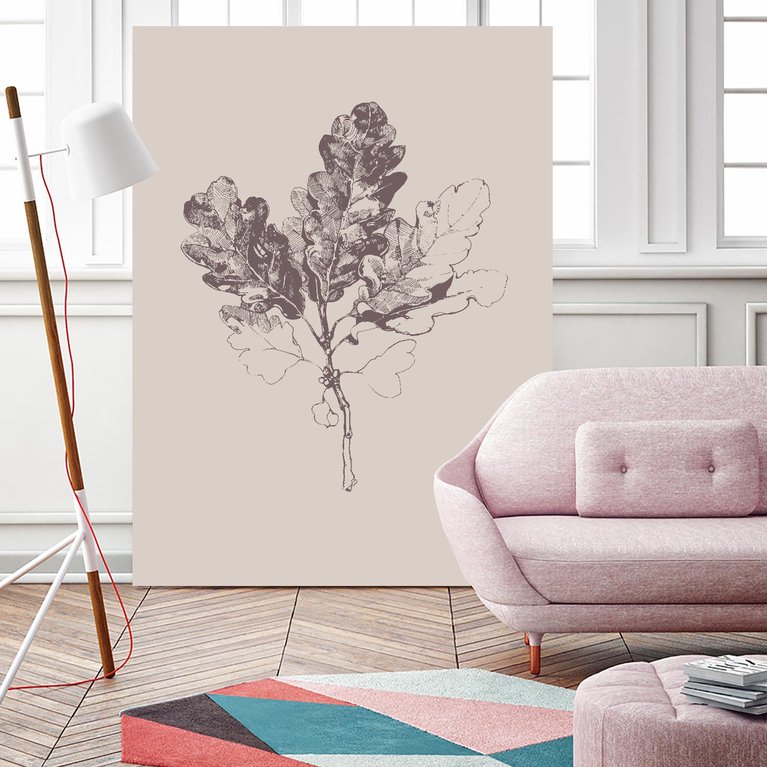 Botanica 3 by Design Fabrikken on GIANT ART - pink floral/still life, botanical, leaves