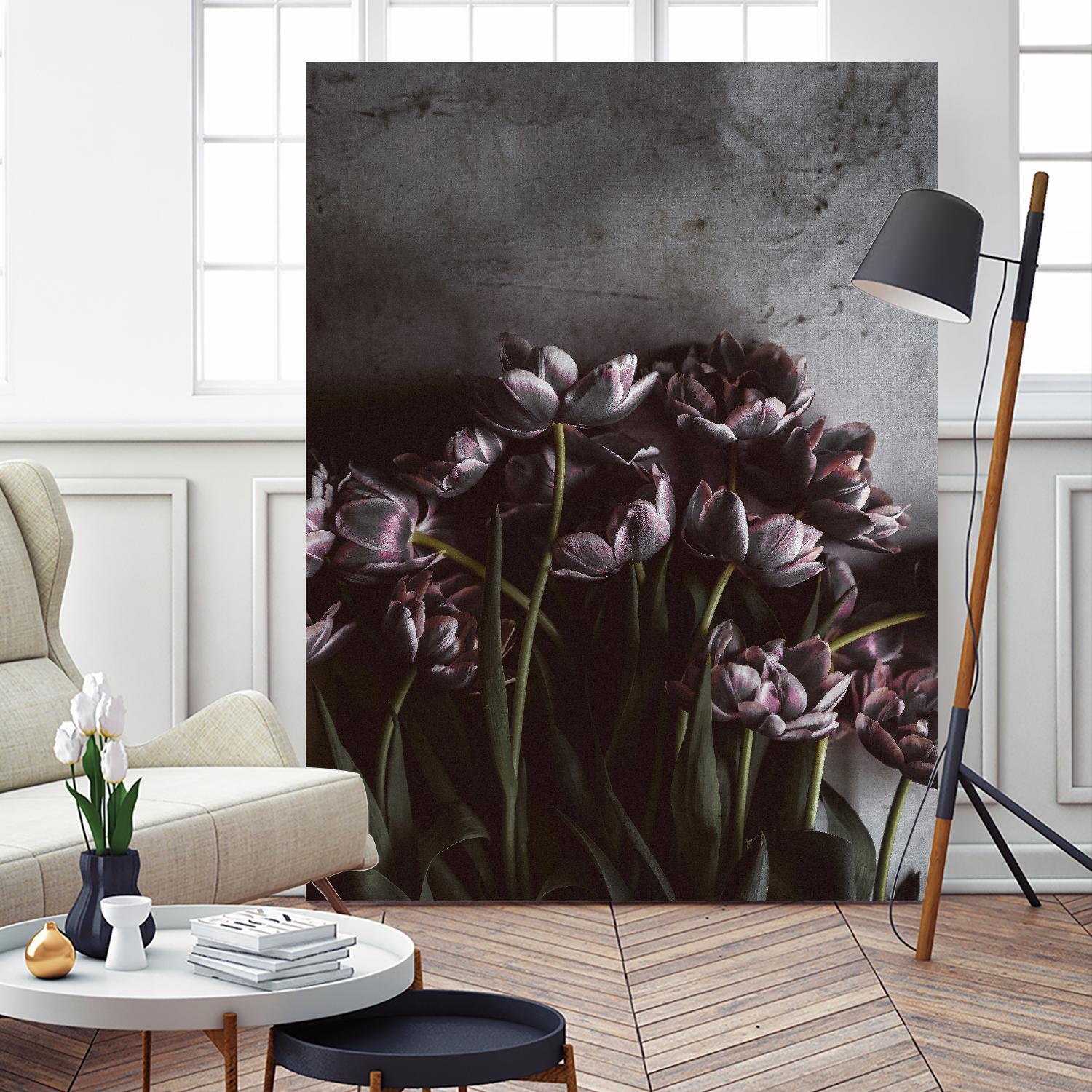 Dark Tulips by Design Fabrikken on GIANT ART - multi floral/still life, photography, flowers, tulips