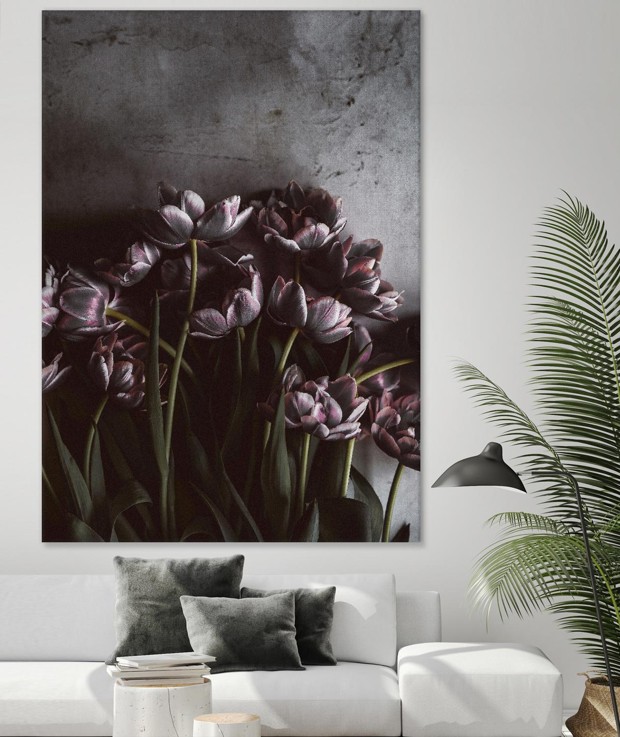Dark Tulips by Design Fabrikken on GIANT ART - multi floral/still life, photography, flowers, tulips