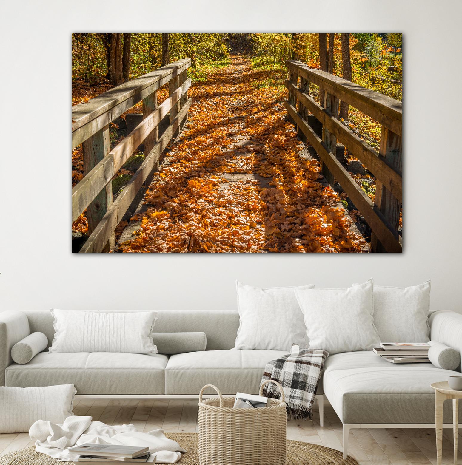 Fall On The Footbridge by Tim Oldford on GIANT ART - multicolor photography; landscapes