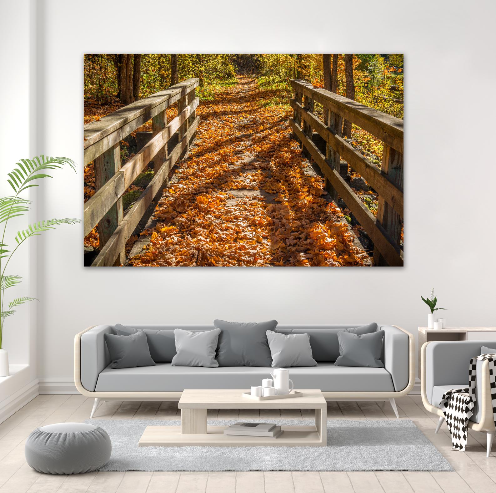 Fall On The Footbridge by Tim Oldford on GIANT ART - multicolor photography; landscapes