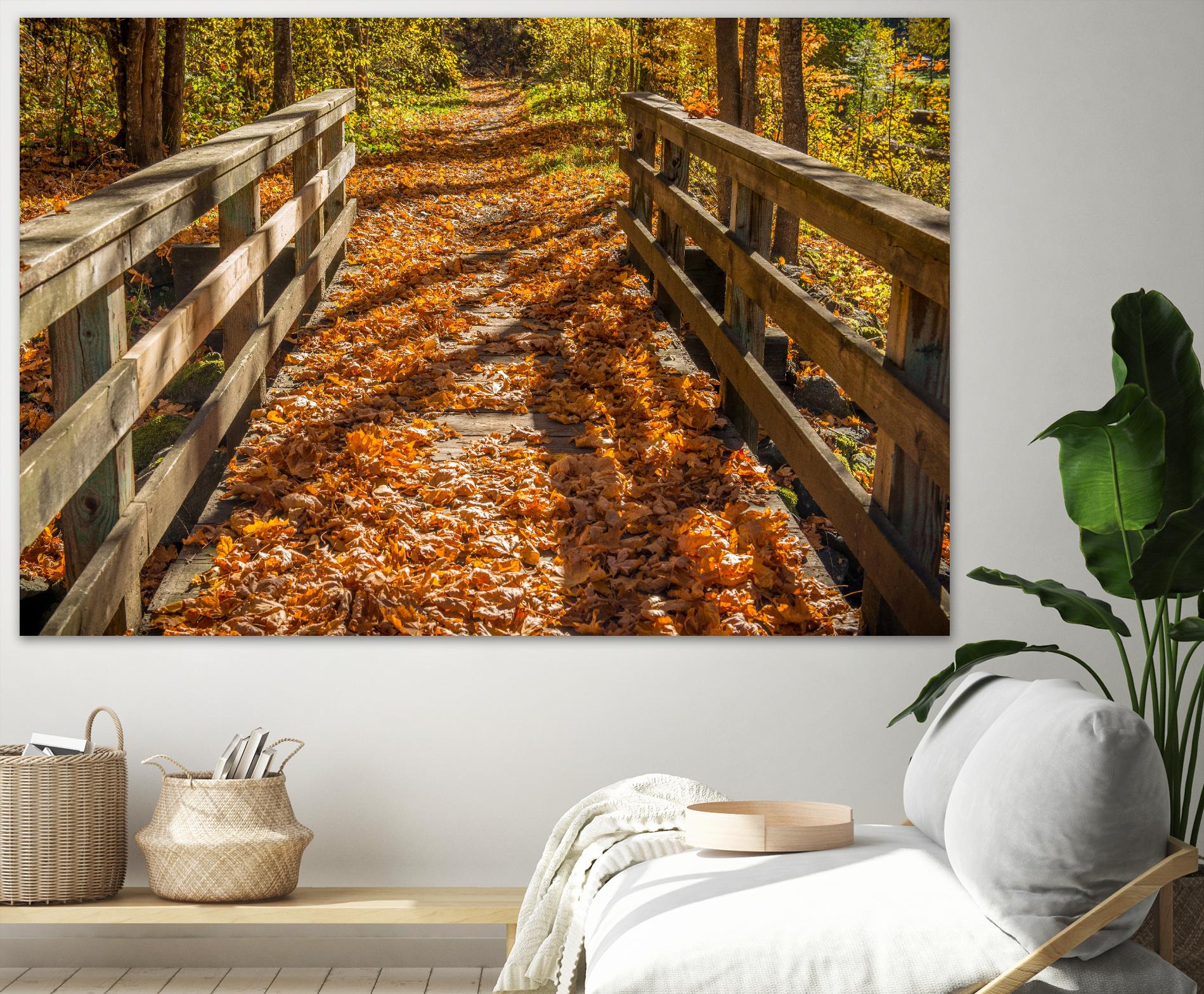 Fall On The Footbridge by Tim Oldford on GIANT ART - multicolor photography; landscapes