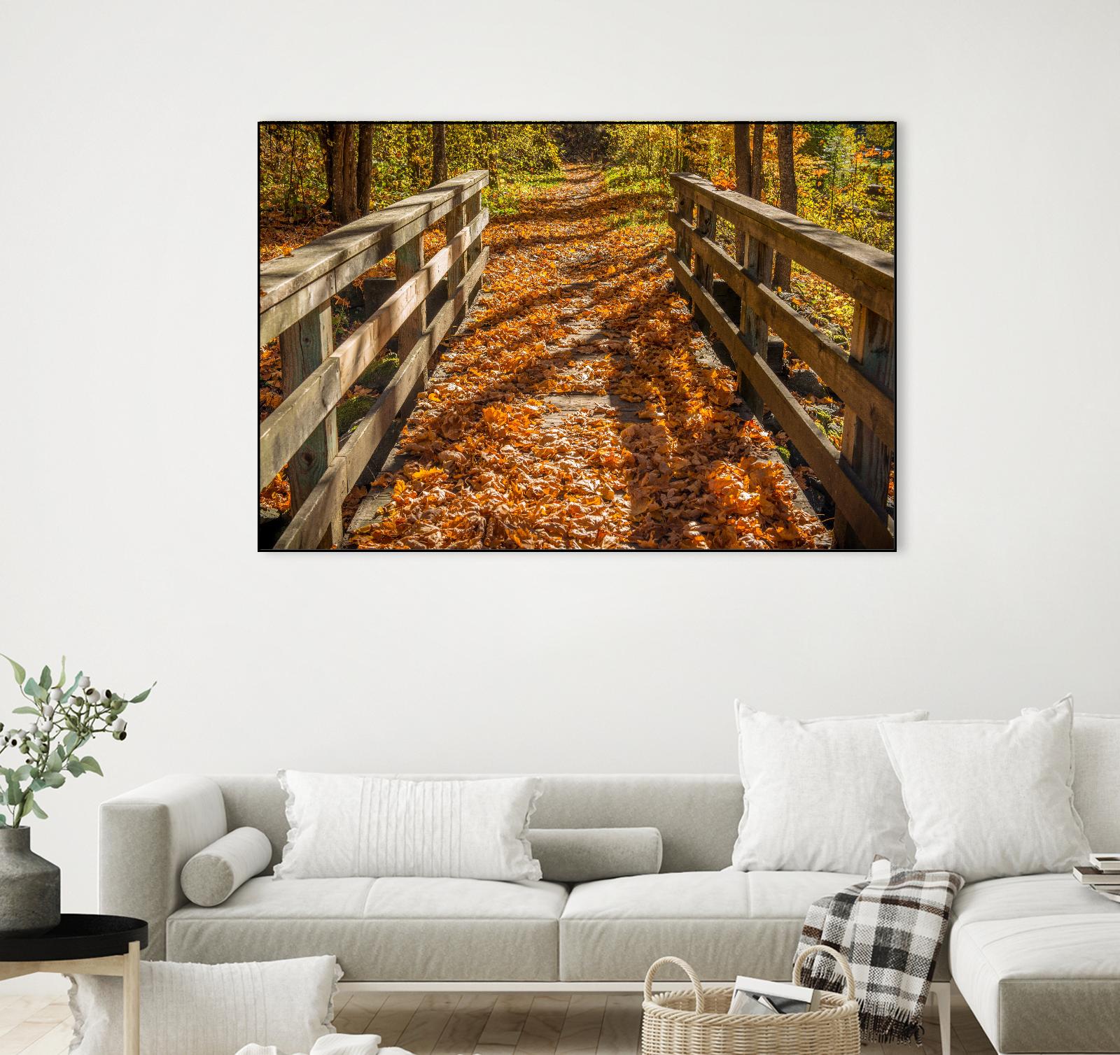 Fall On The Footbridge by Tim Oldford on GIANT ART - multicolor photography; landscapes