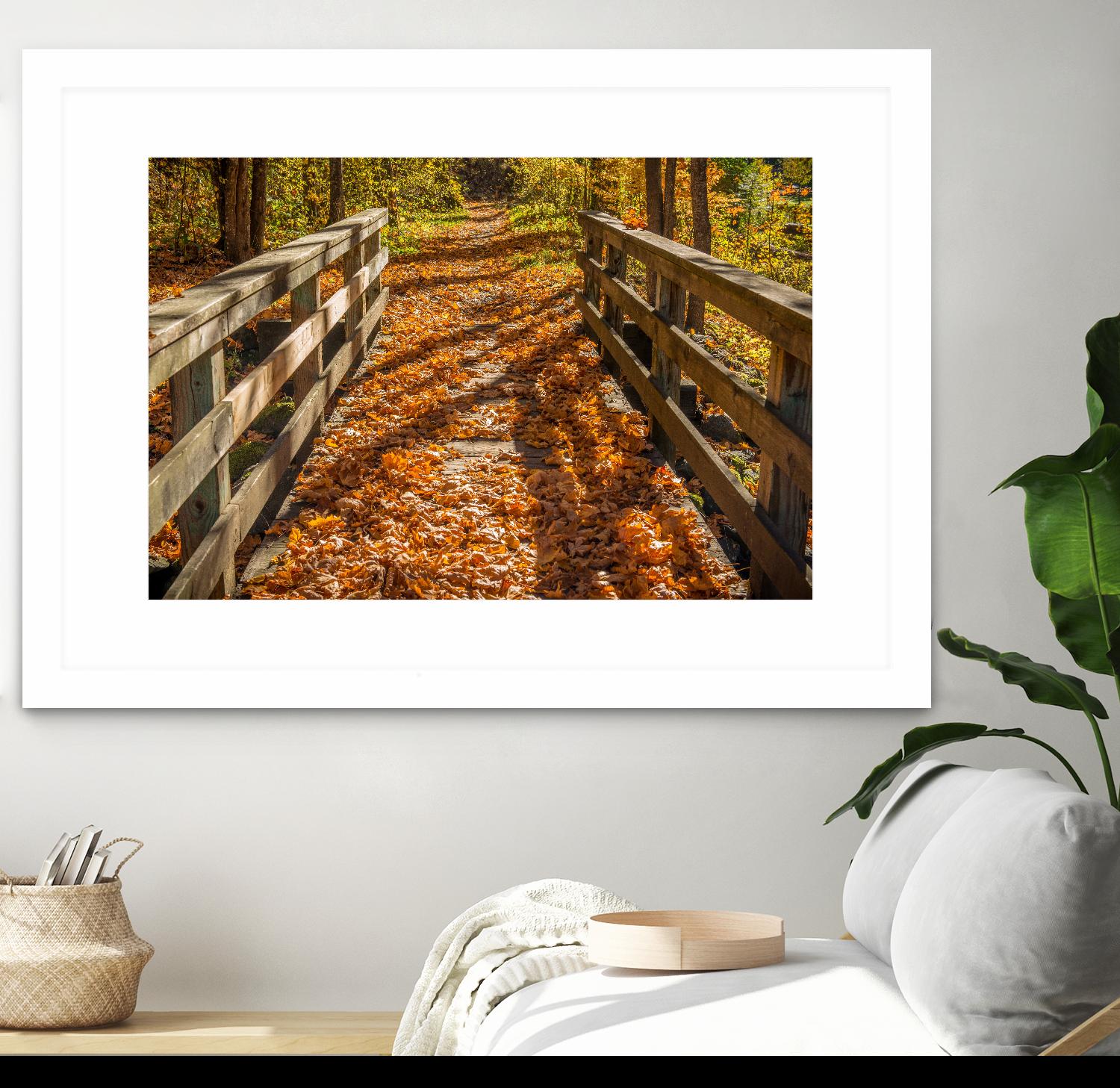 Fall On The Footbridge by Tim Oldford on GIANT ART - multicolor photography; landscapes