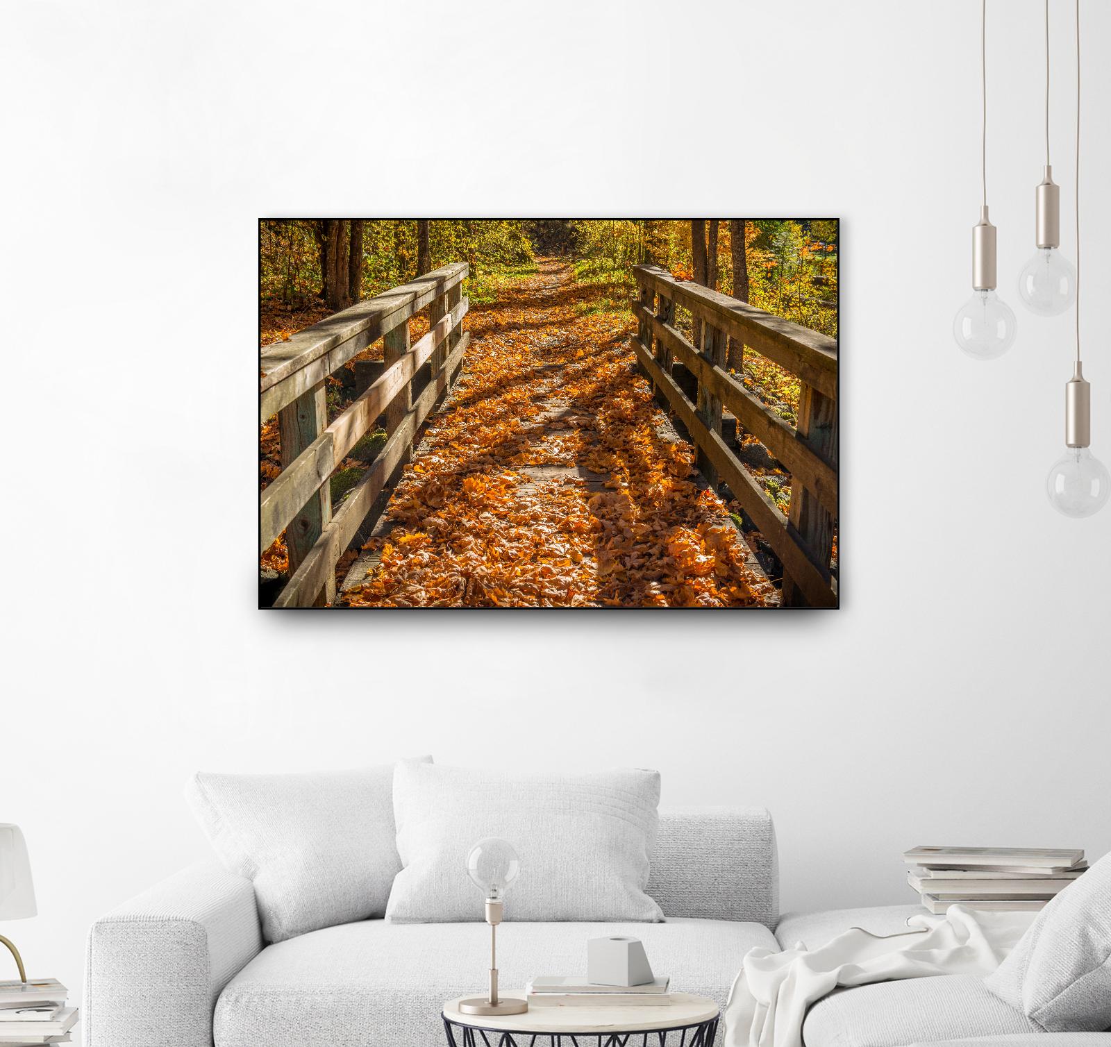 Fall On The Footbridge by Tim Oldford on GIANT ART - multicolor photography; landscapes