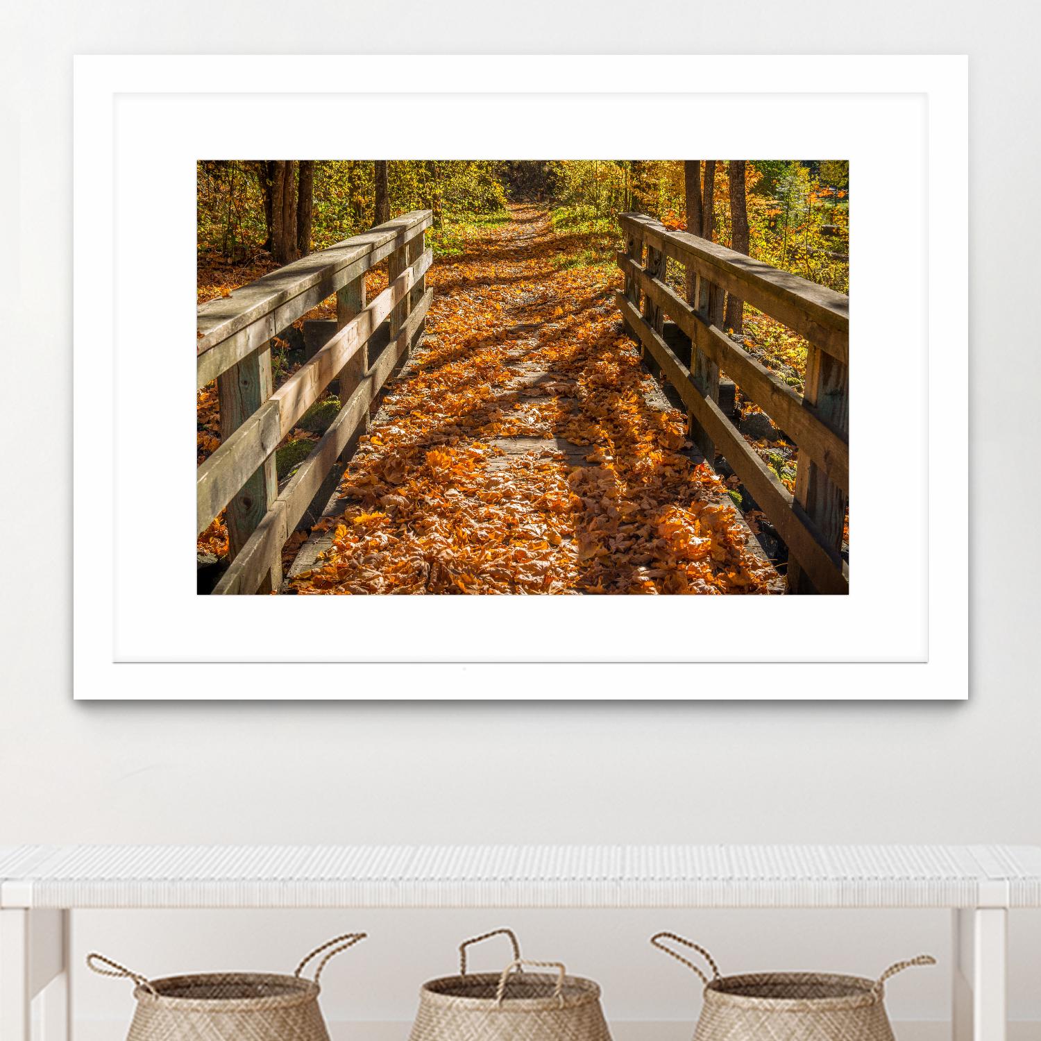 Fall On The Footbridge by Tim Oldford on GIANT ART - multicolor photography; landscapes