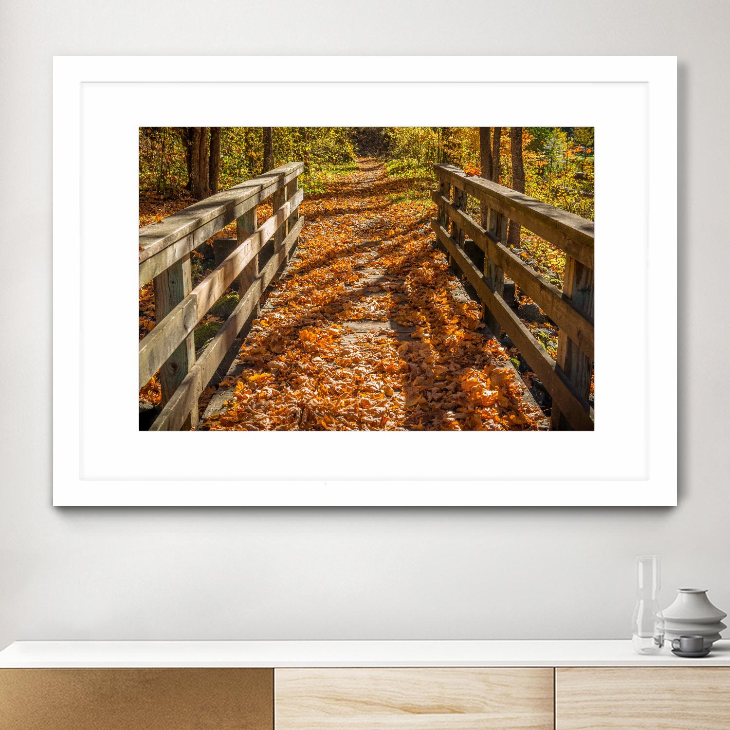 Fall On The Footbridge by Tim Oldford on GIANT ART - multicolor photography; landscapes
