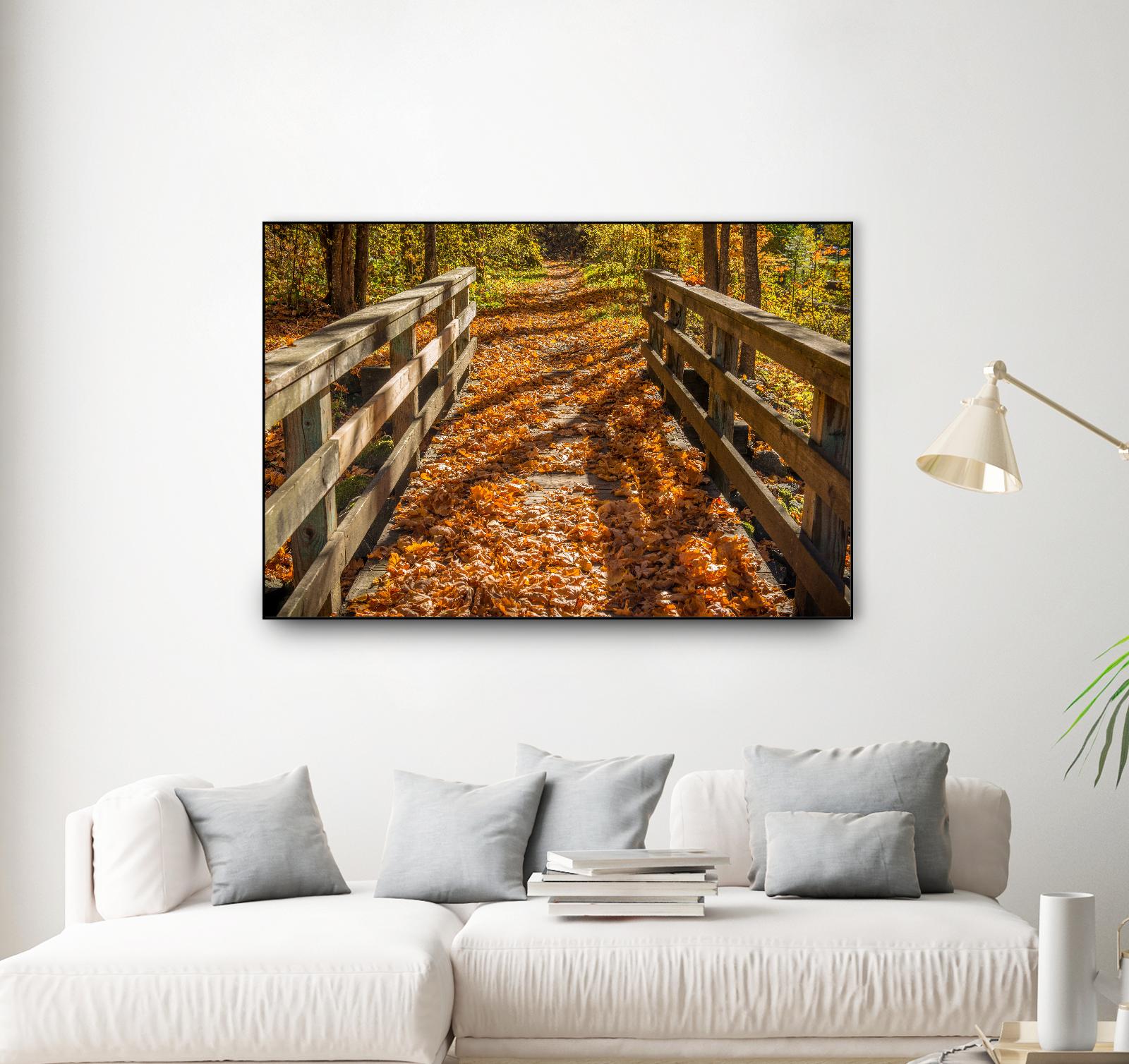 Fall On The Footbridge by Tim Oldford on GIANT ART - multicolor photography; landscapes