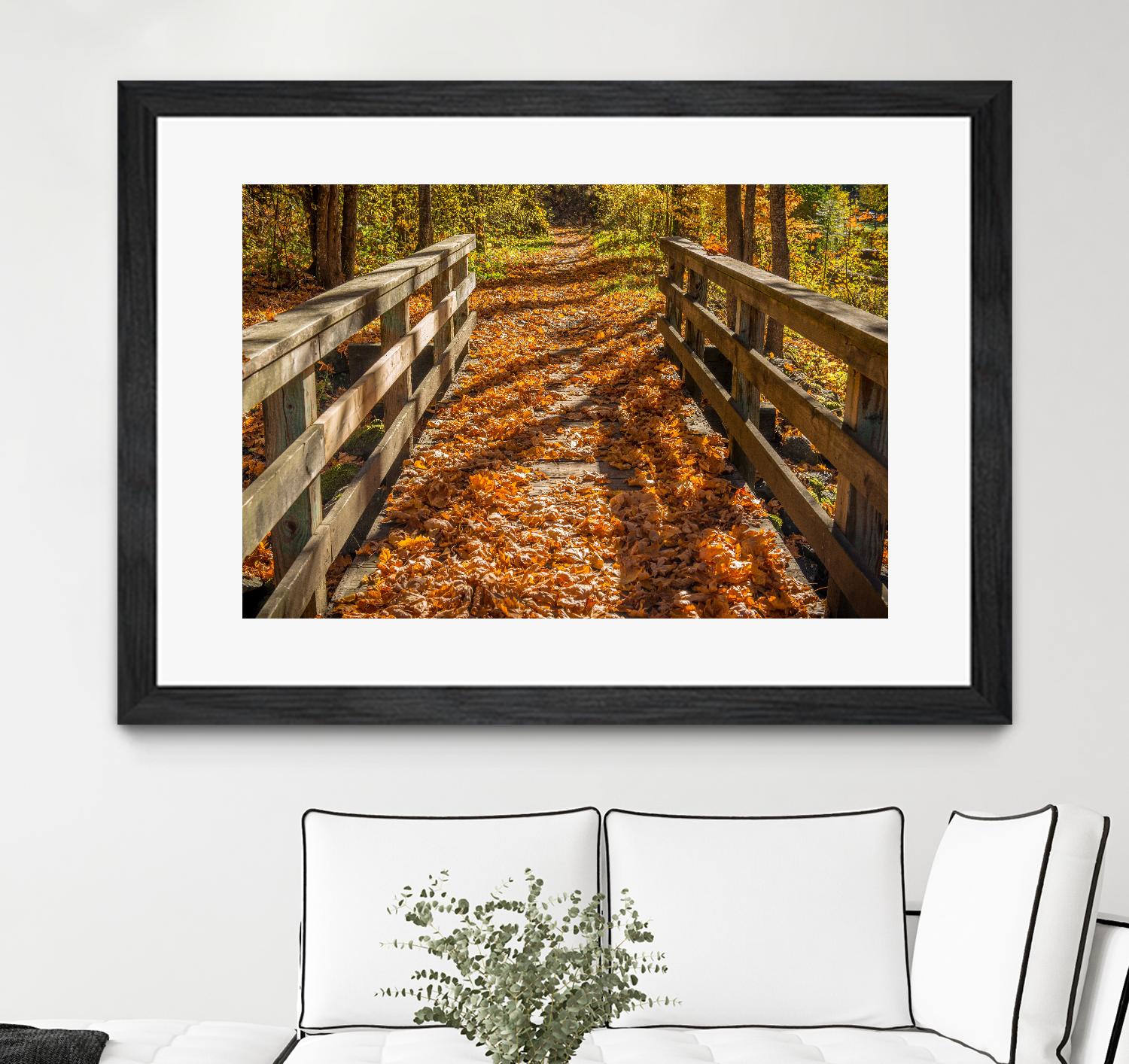 Fall On The Footbridge by Tim Oldford on GIANT ART - multicolor photography; landscapes