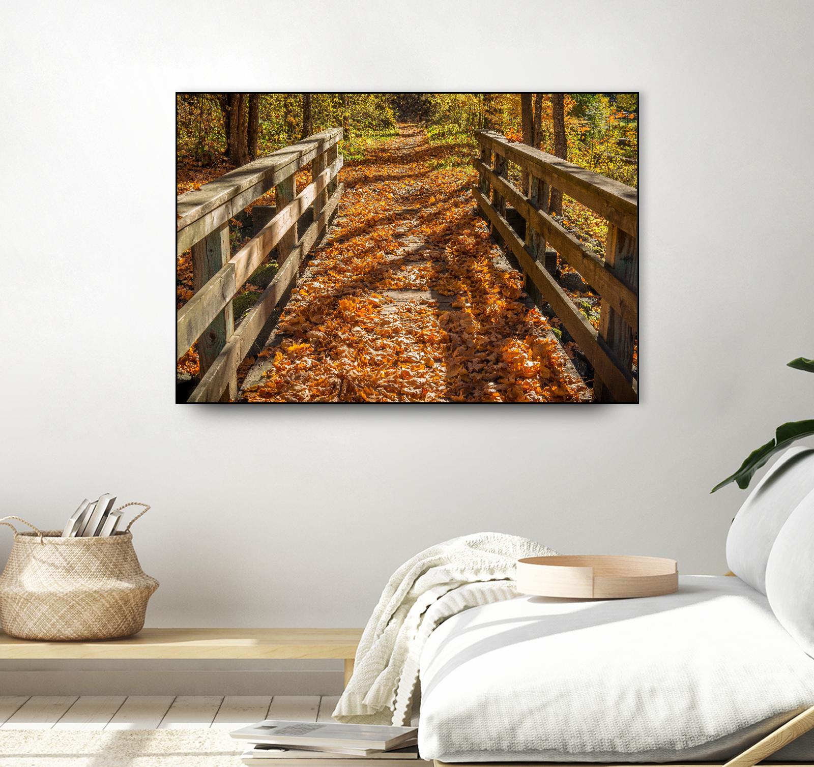 Fall On The Footbridge by Tim Oldford on GIANT ART - multicolor photography; landscapes