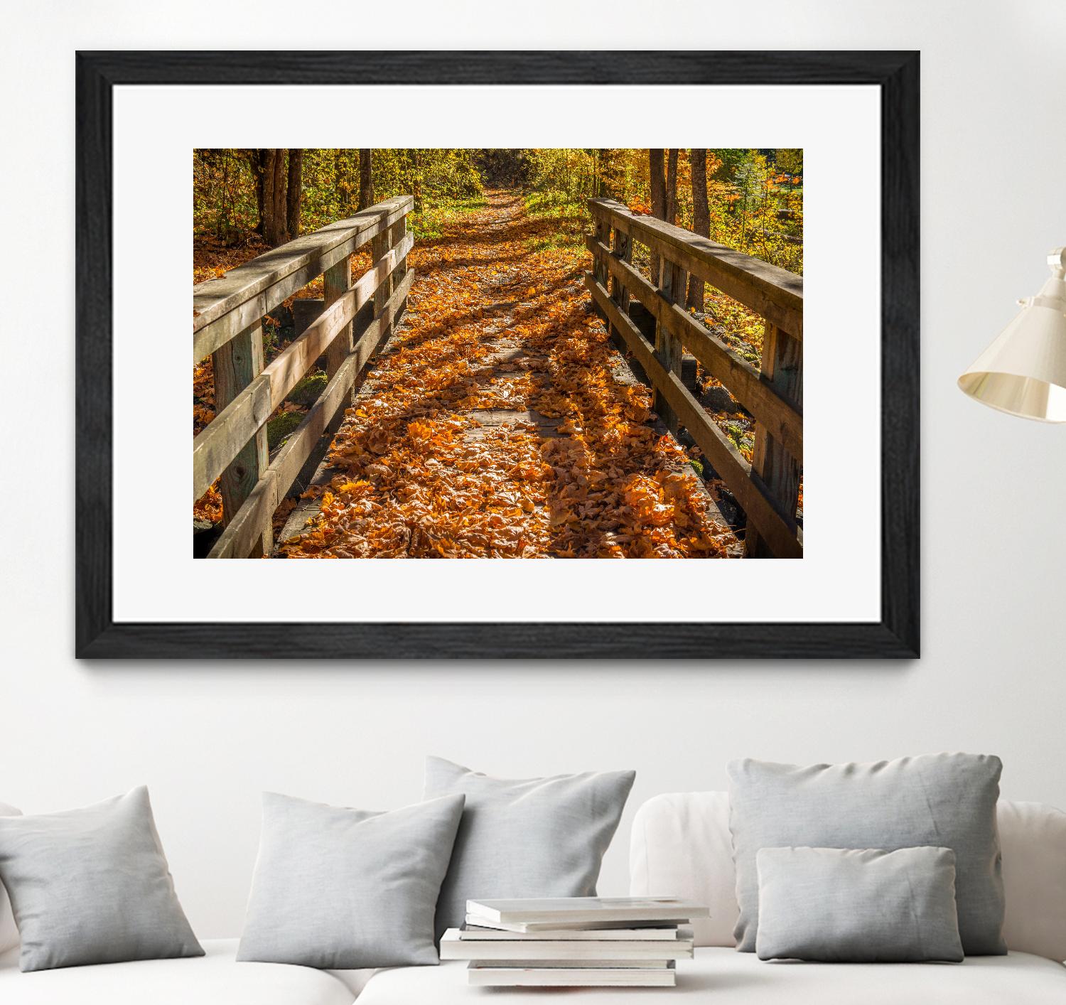 Fall On The Footbridge by Tim Oldford on GIANT ART - multicolor photography; landscapes