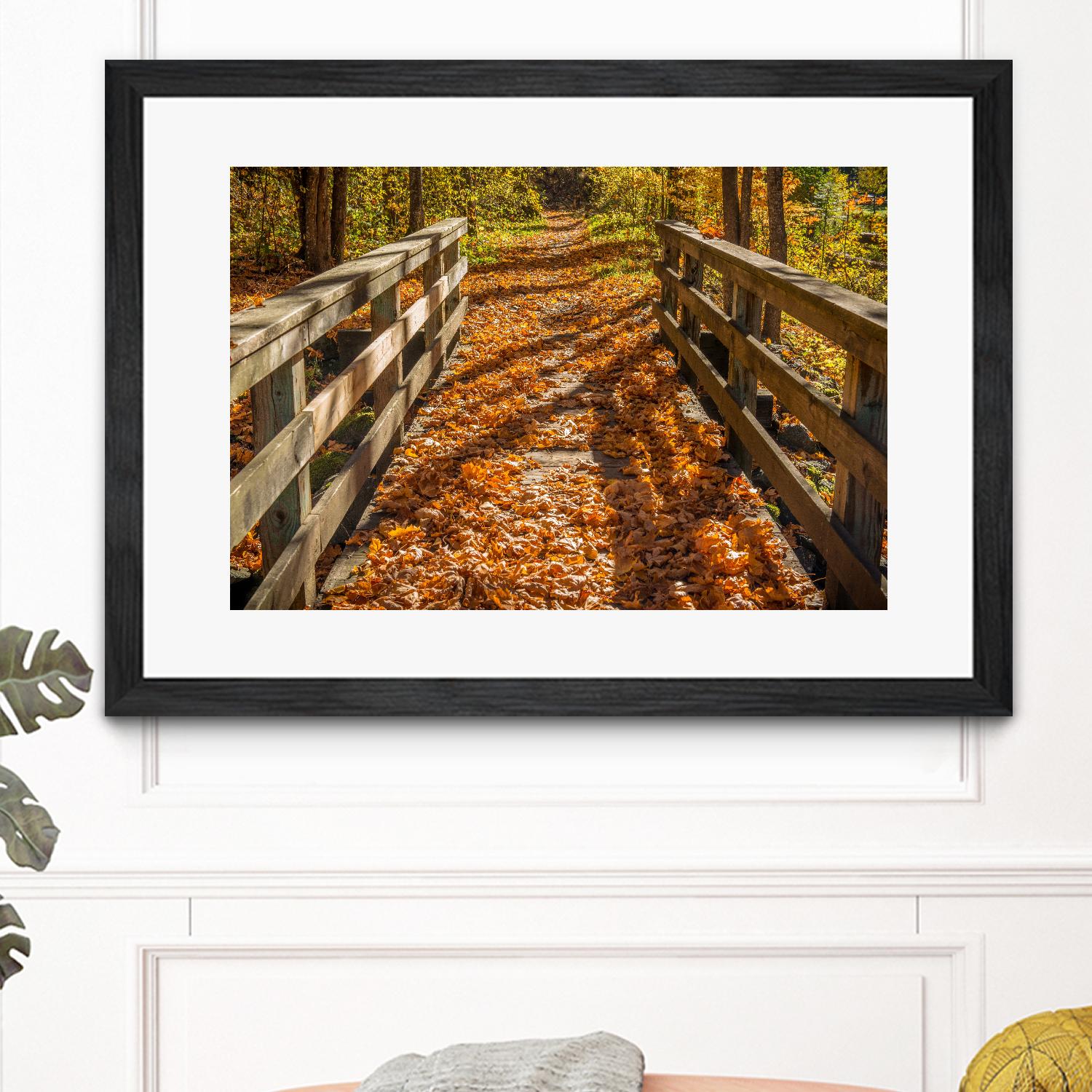 Fall On The Footbridge by Tim Oldford on GIANT ART - multicolor photography; landscapes