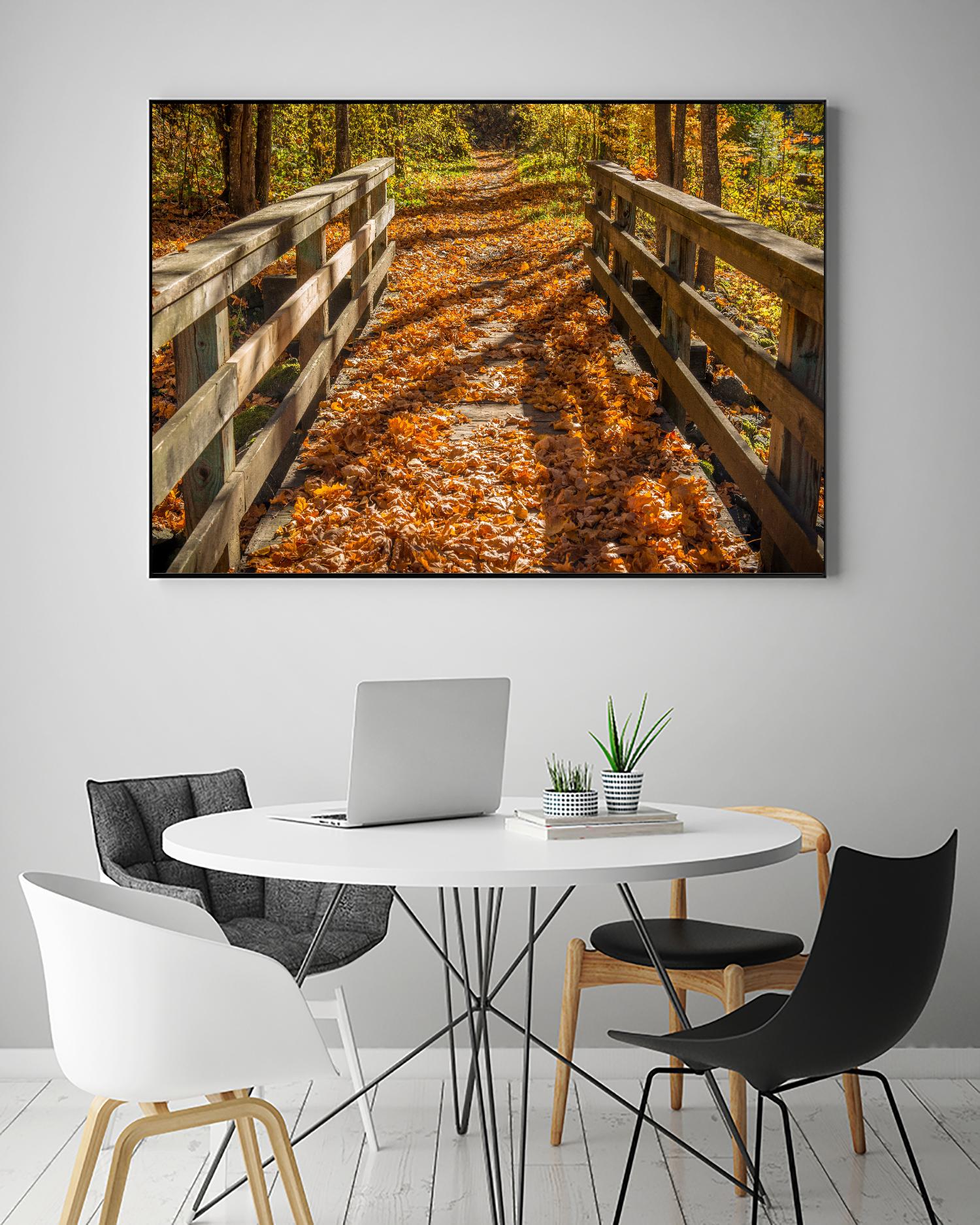 Fall On The Footbridge by Tim Oldford on GIANT ART - multicolor photography; landscapes