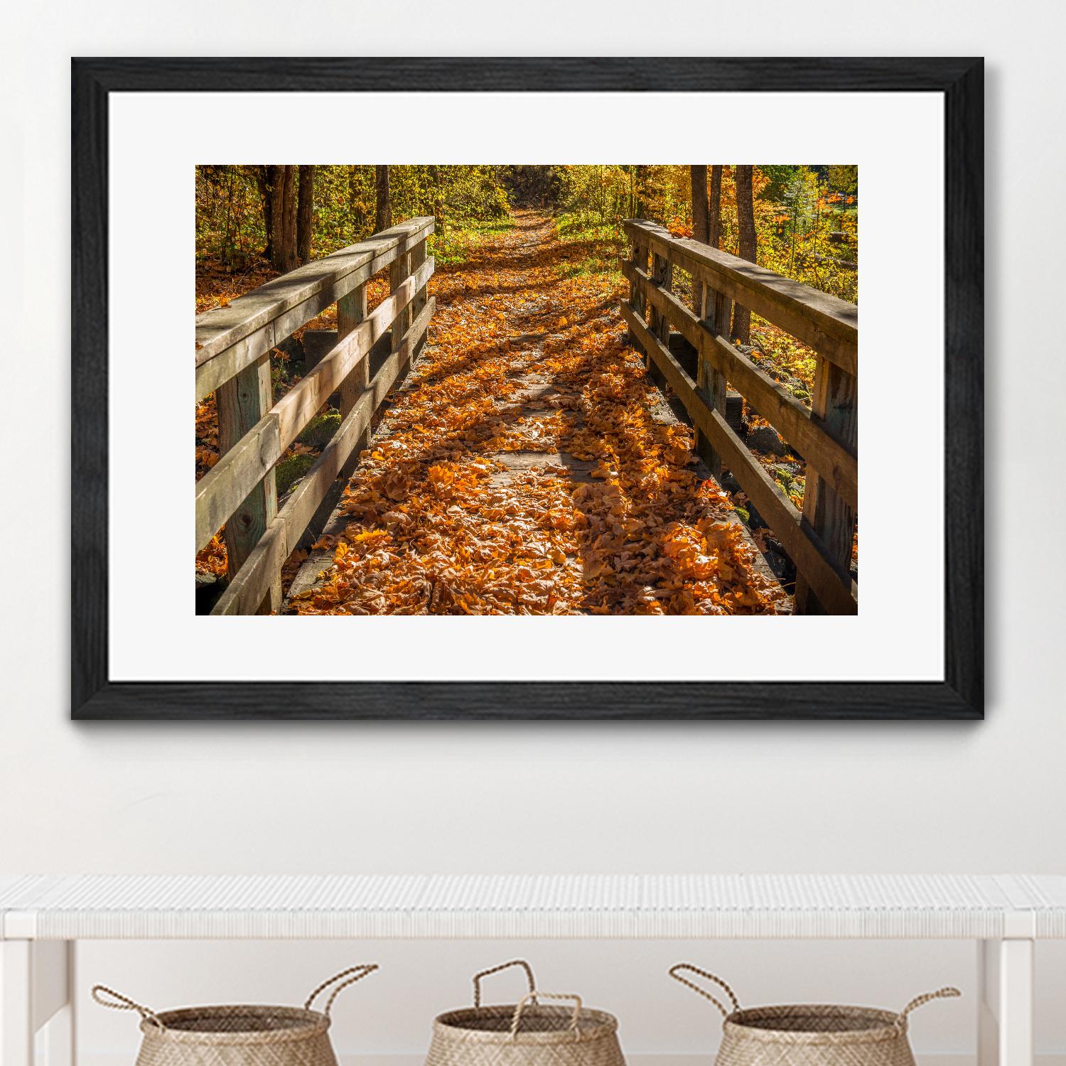 Fall On The Footbridge by Tim Oldford on GIANT ART - multicolor photography; landscapes
