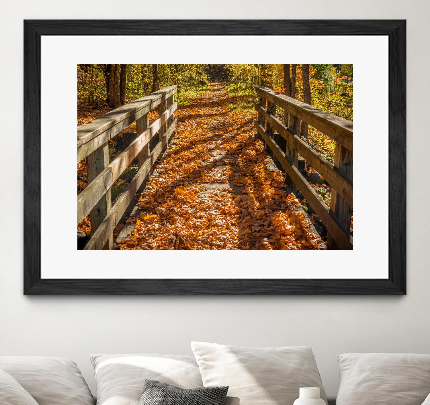 Fall On The Footbridge by Tim Oldford on GIANT ART - multicolor photography; landscapes