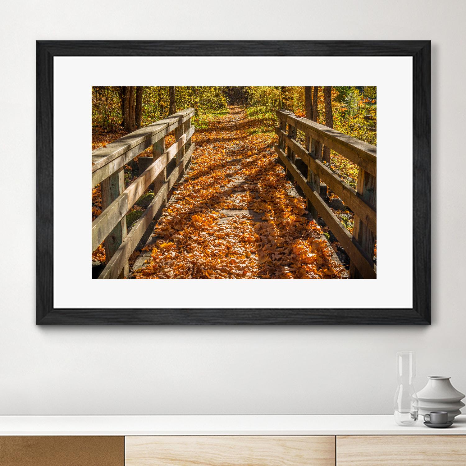 Fall On The Footbridge by Tim Oldford on GIANT ART - multicolor photography; landscapes