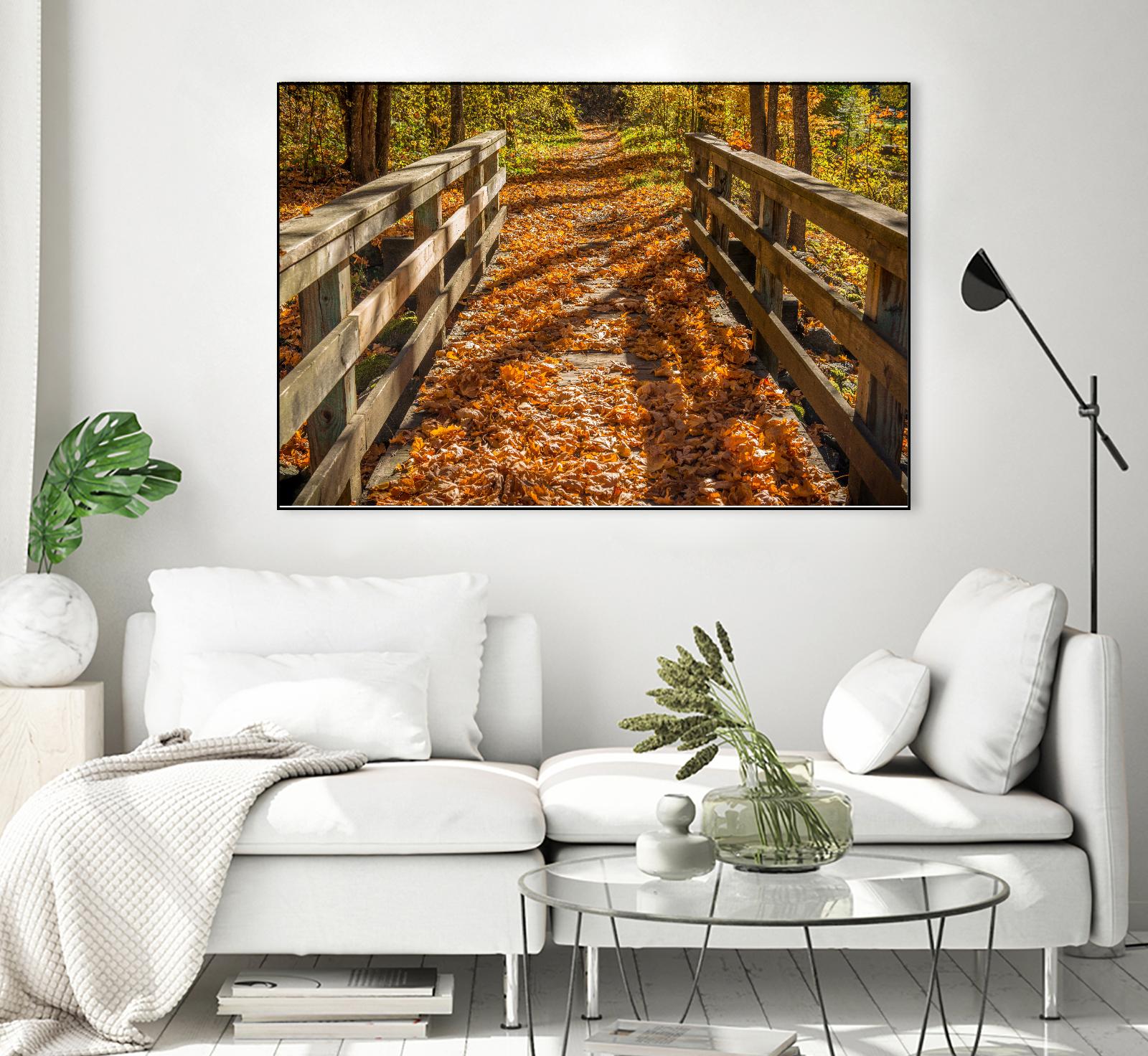 Fall On The Footbridge by Tim Oldford on GIANT ART - multicolor photography; landscapes