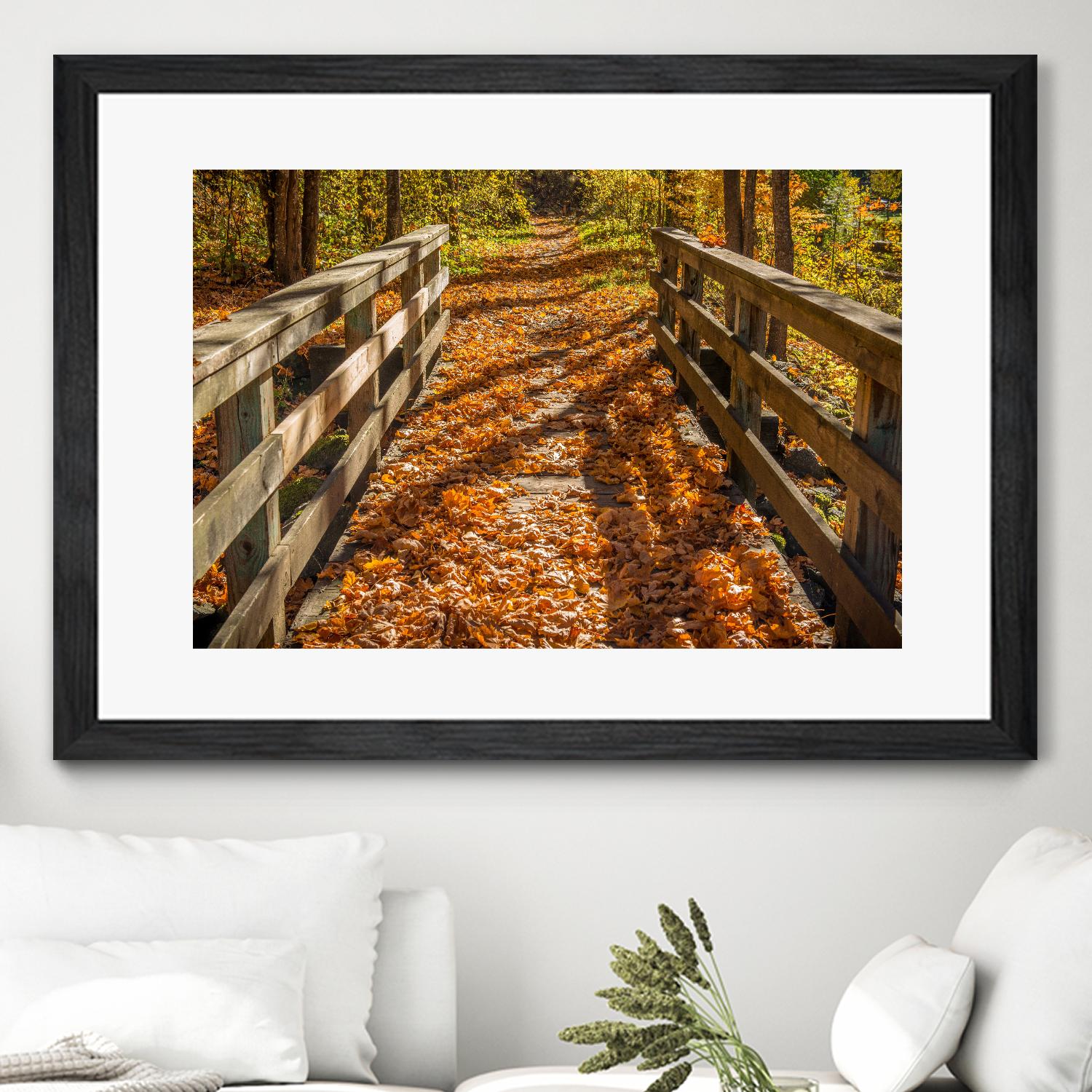 Fall On The Footbridge by Tim Oldford on GIANT ART - multicolor photography; landscapes