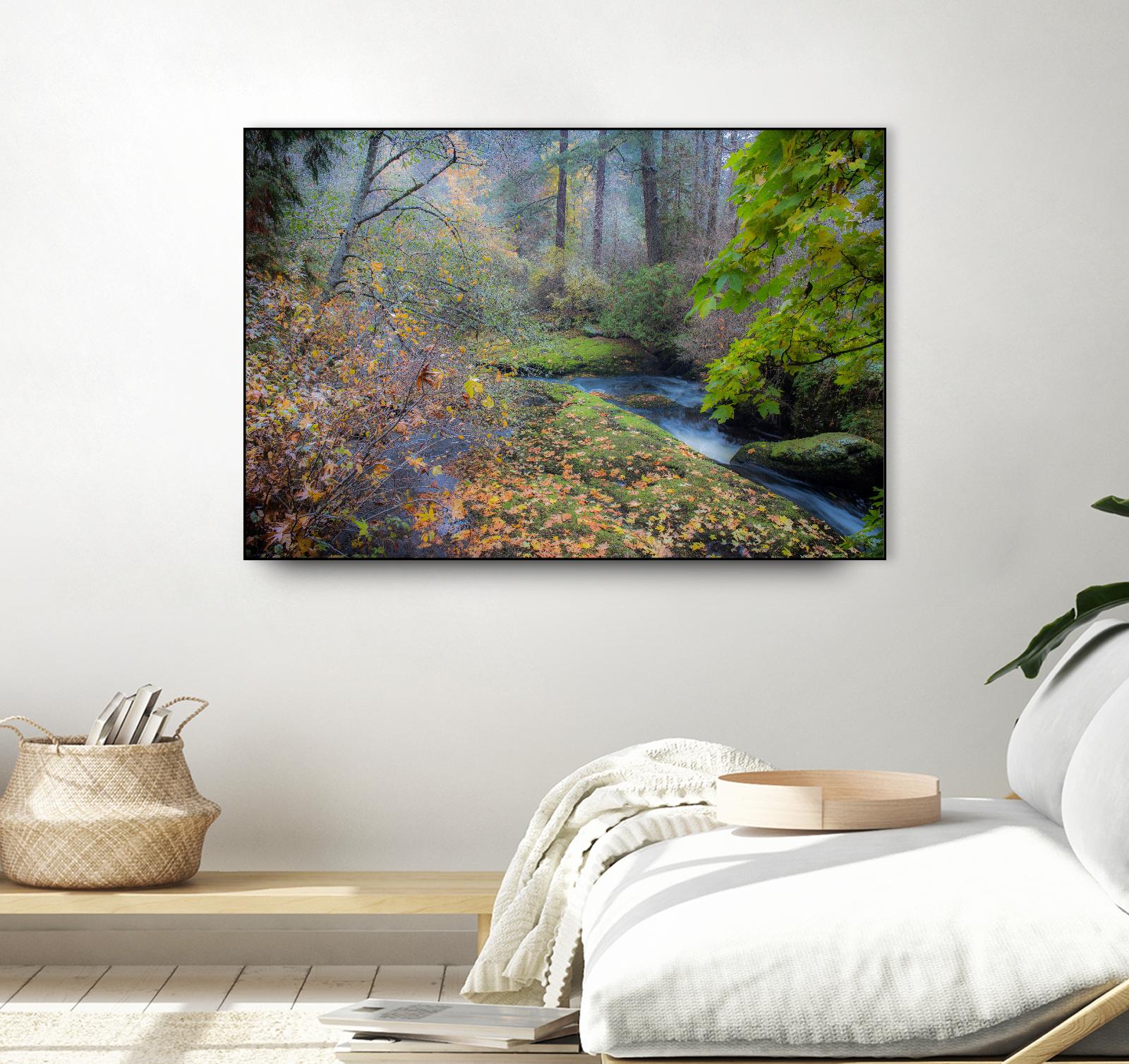 Snow in Fall by Tim Oldford on GIANT ART - multicolor photography; landscapes