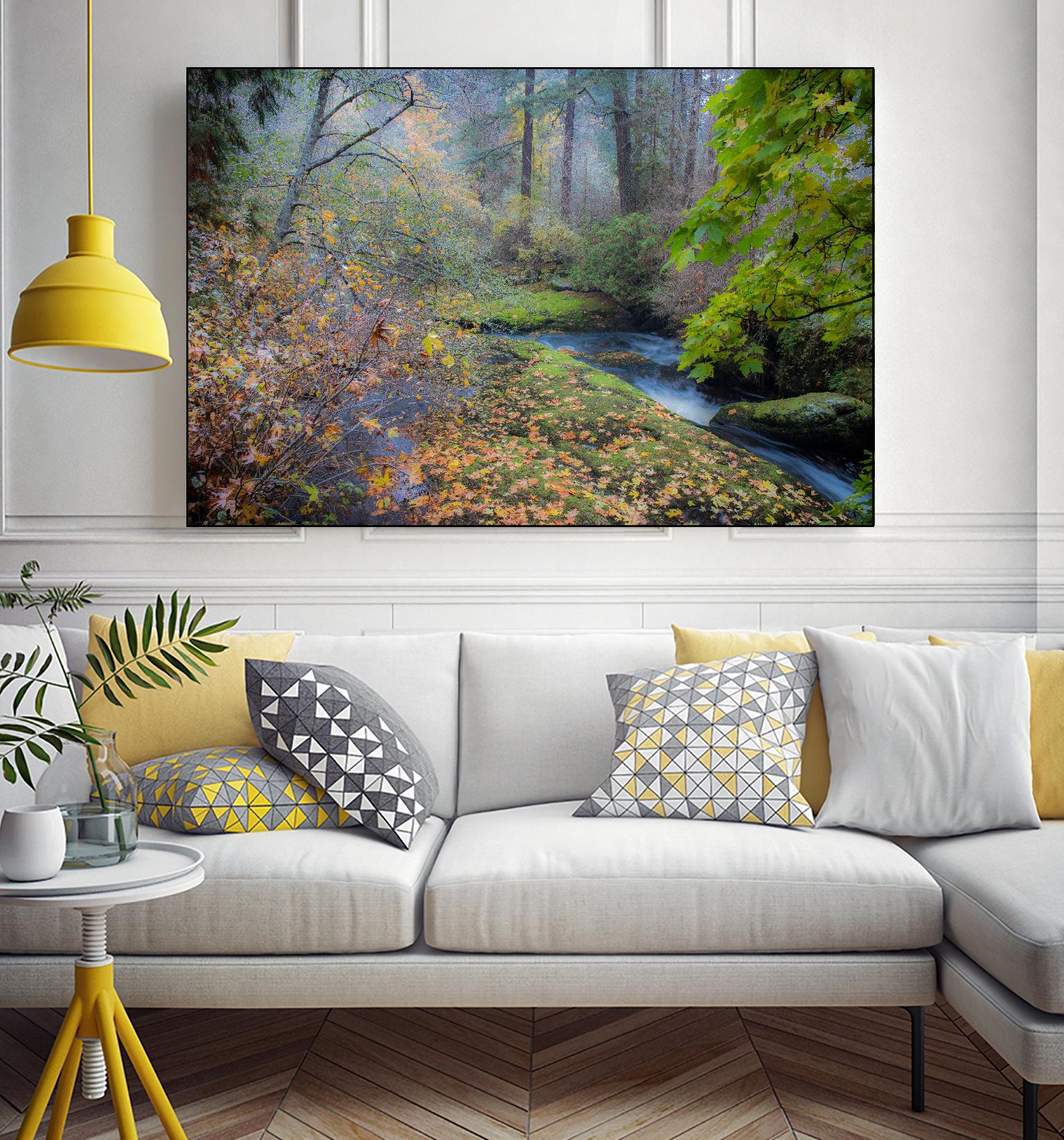 Snow in Fall by Tim Oldford on GIANT ART - multicolor photography; landscapes