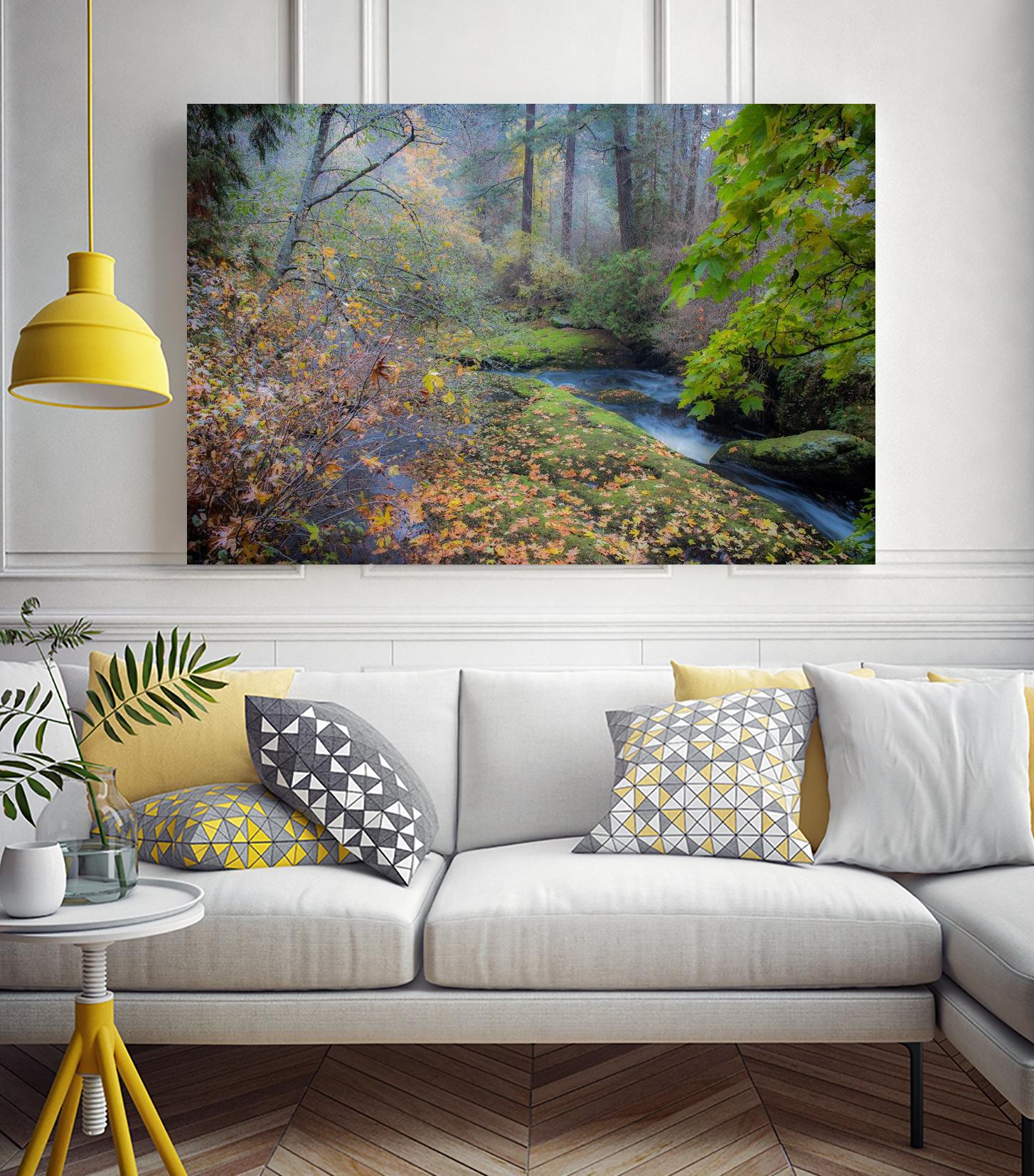 Snow in Fall by Tim Oldford on GIANT ART - multicolor photography; landscapes