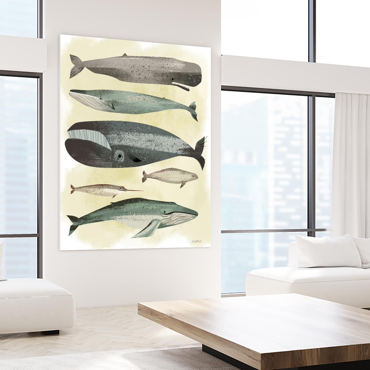 Whales by Pete Oswald on GIANT ART - multicolor animals