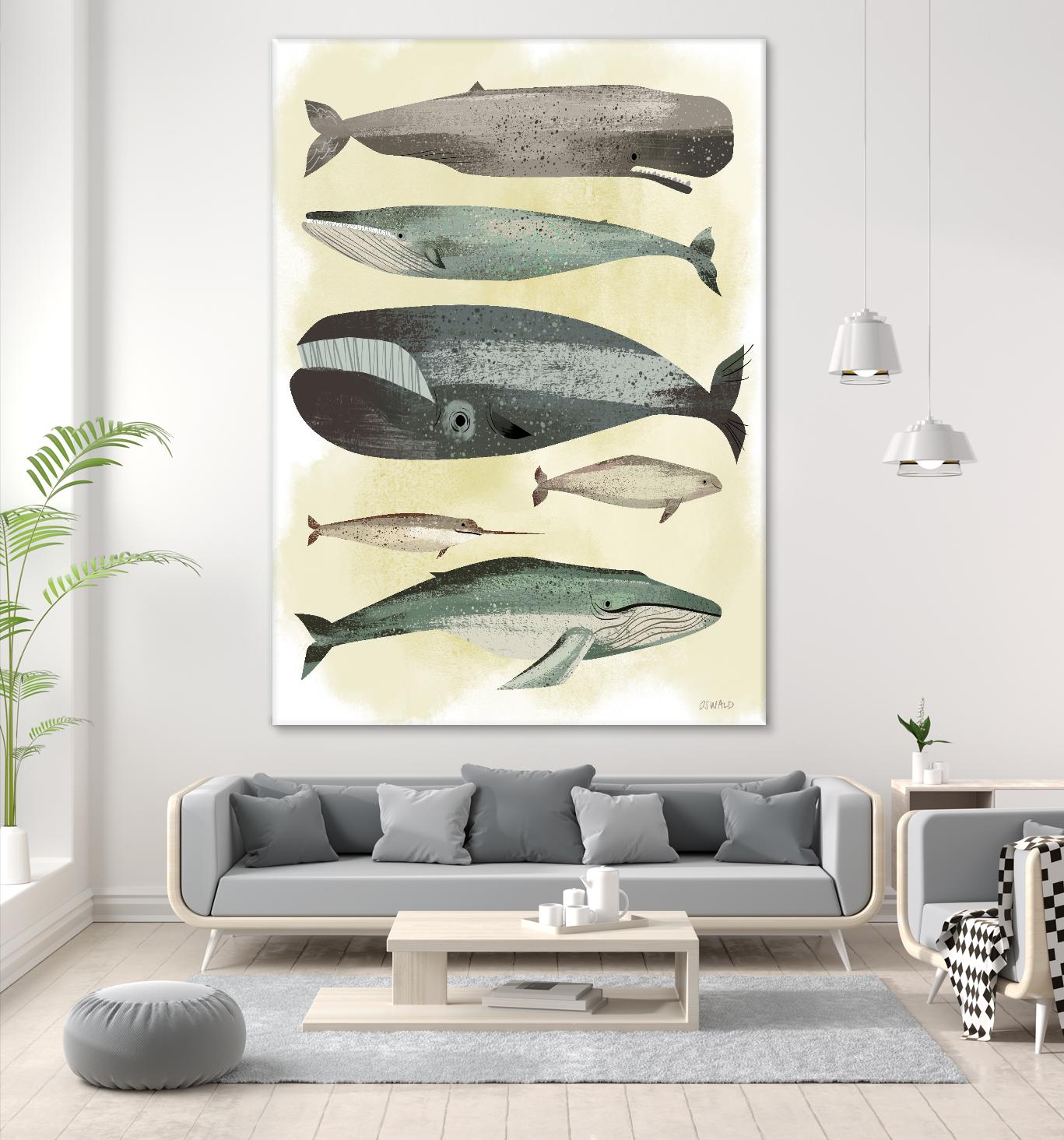 Whales by Pete Oswald on GIANT ART - multicolor animals