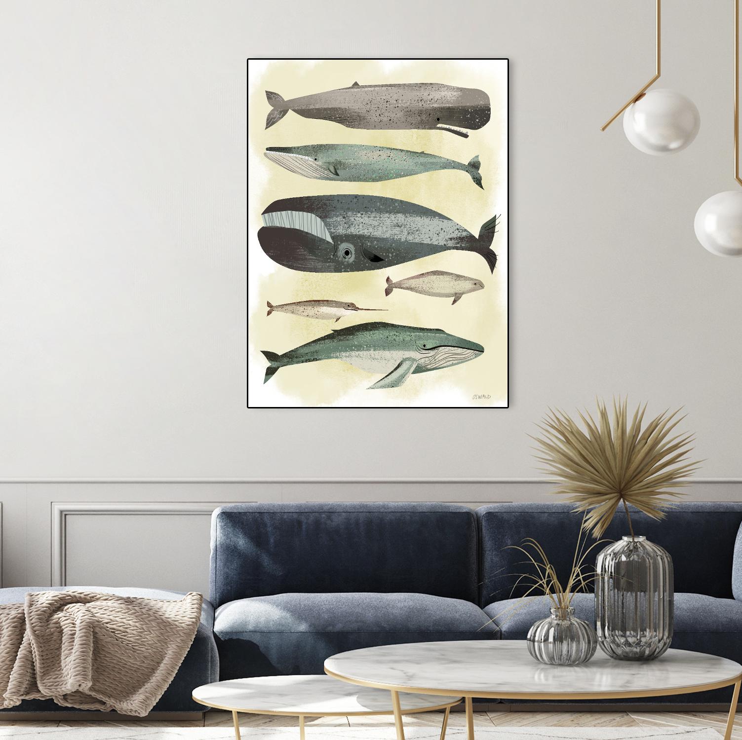 Whales by Pete Oswald on GIANT ART - multicolor animals