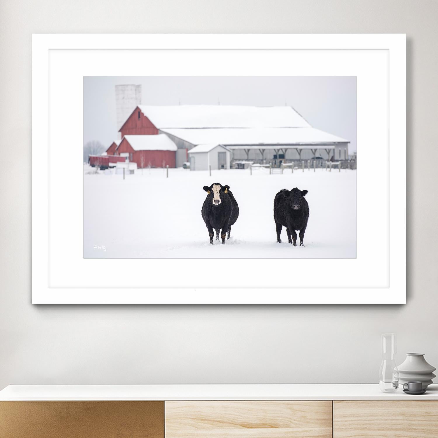 Cookies and Cream by Matthew Platz on GIANT ART - multicolor photography; animals