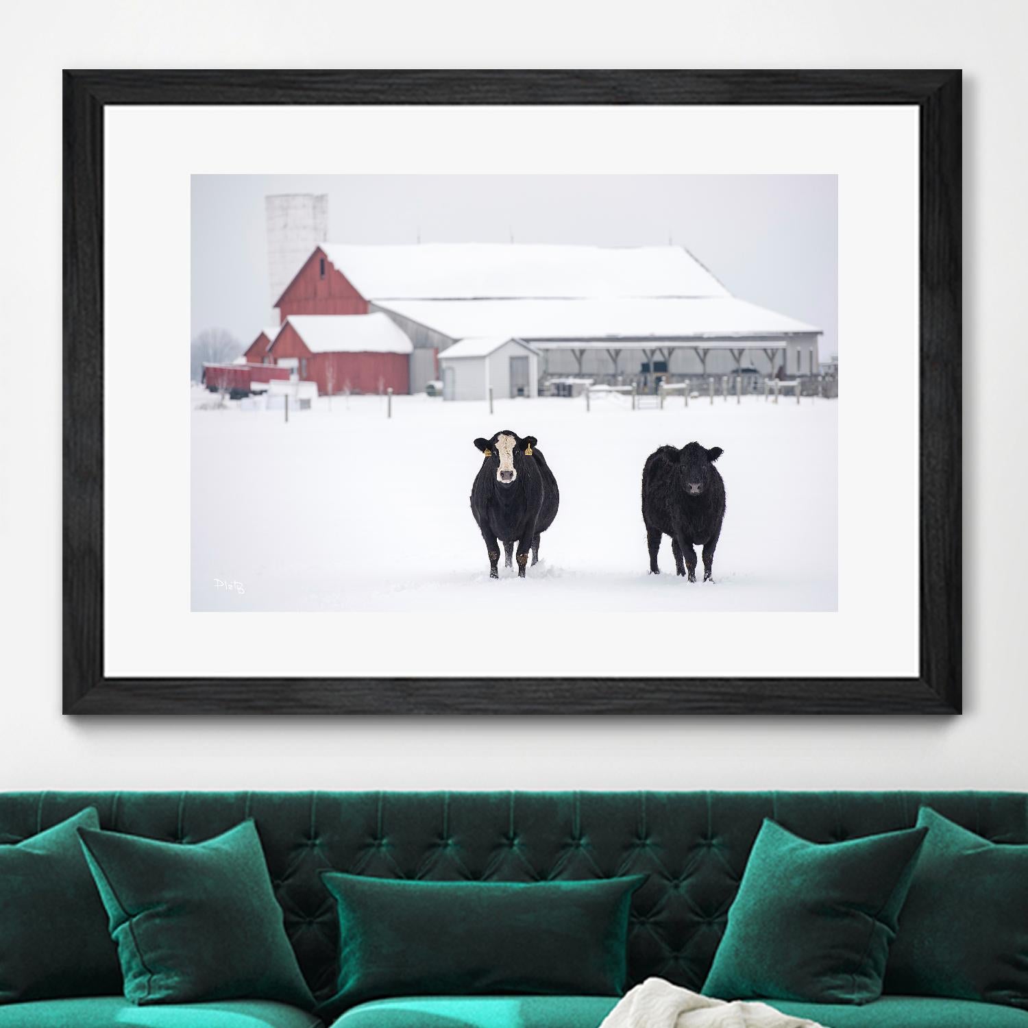 Cookies and Cream by Matthew Platz on GIANT ART - multicolor photography; animals