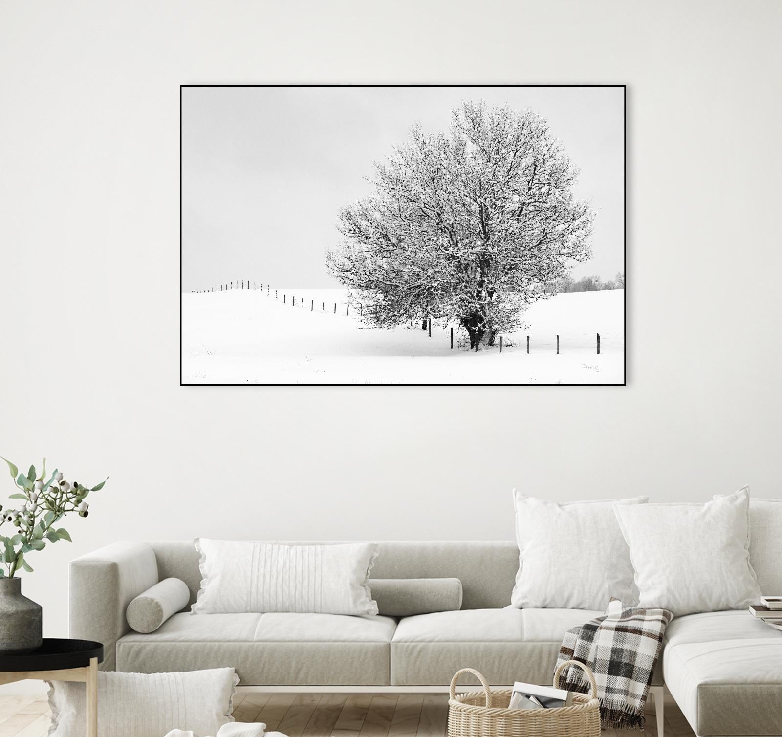 Depth of Field by Matthew Platz on GIANT ART - multicolor photography; landscapes