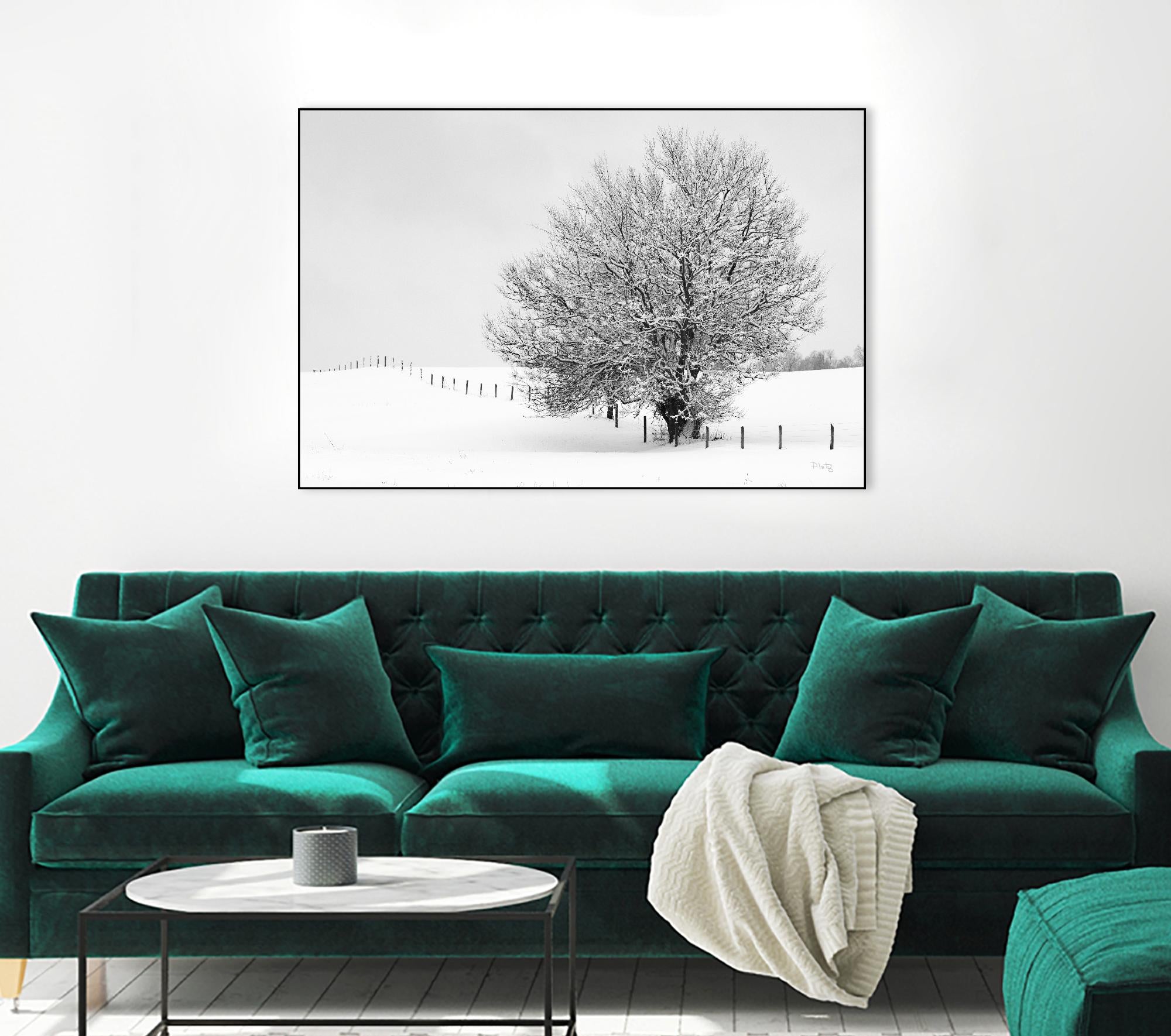 Depth of Field by Matthew Platz on GIANT ART - multicolor photography; landscapes