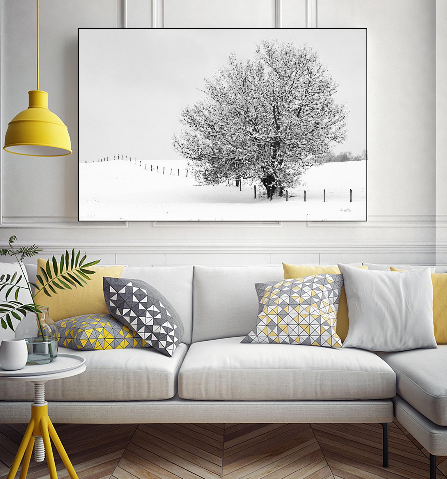 Depth of Field by Matthew Platz on GIANT ART - multicolor photography; landscapes