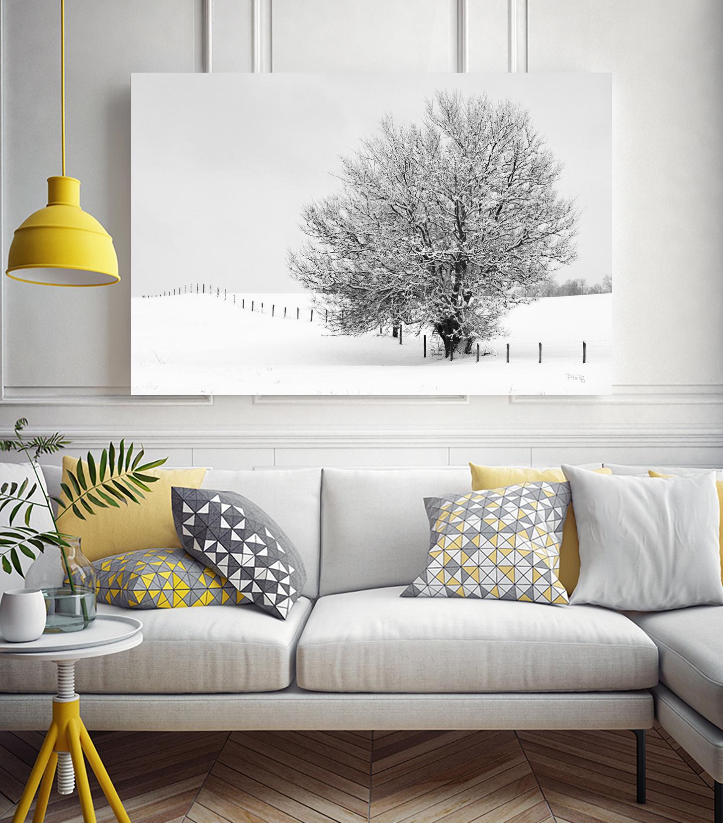 Depth of Field by Matthew Platz on GIANT ART - multicolor photography; landscapes