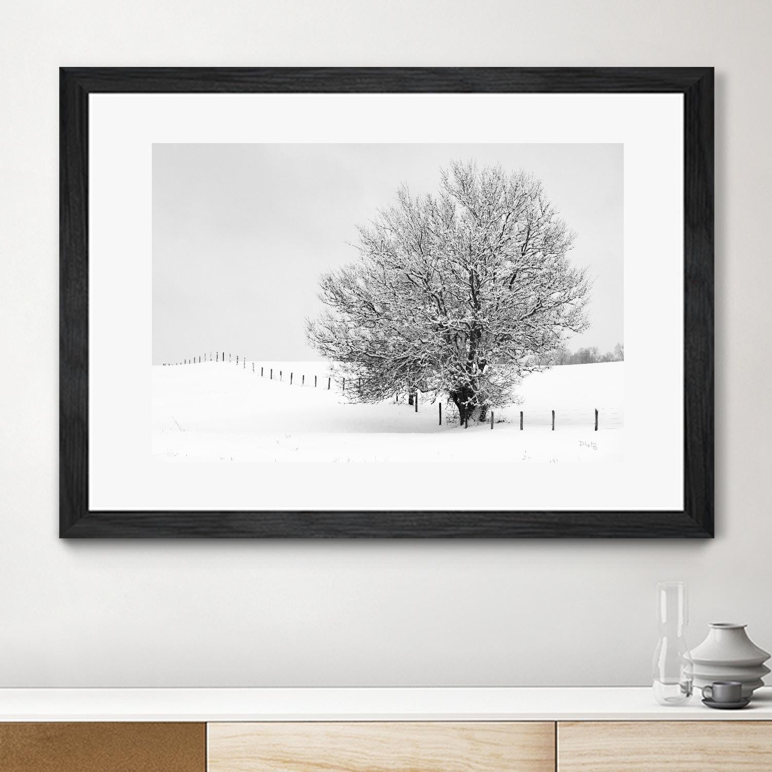 Depth of Field by Matthew Platz on GIANT ART - multicolor photography; landscapes