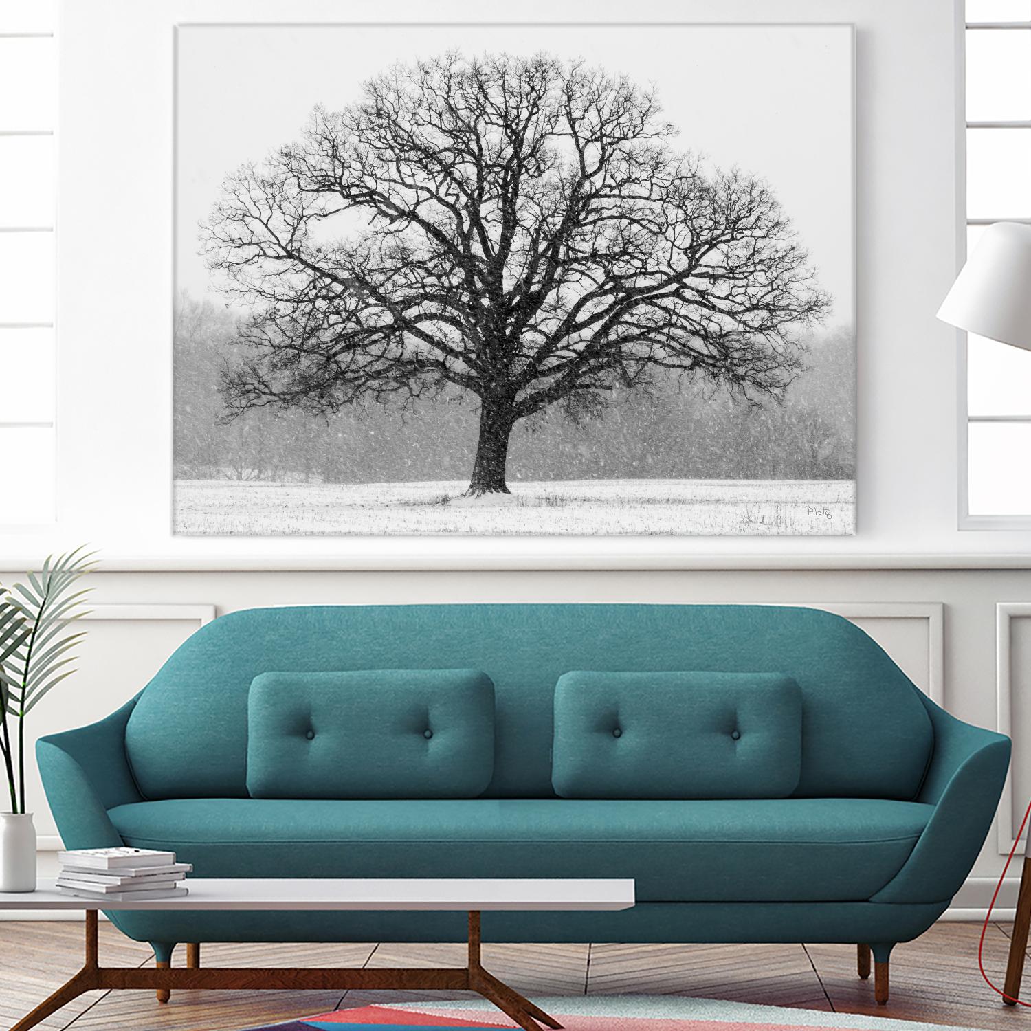 Old Man Winter by Matthew Platz on GIANT ART - multicolor photography; landscapes