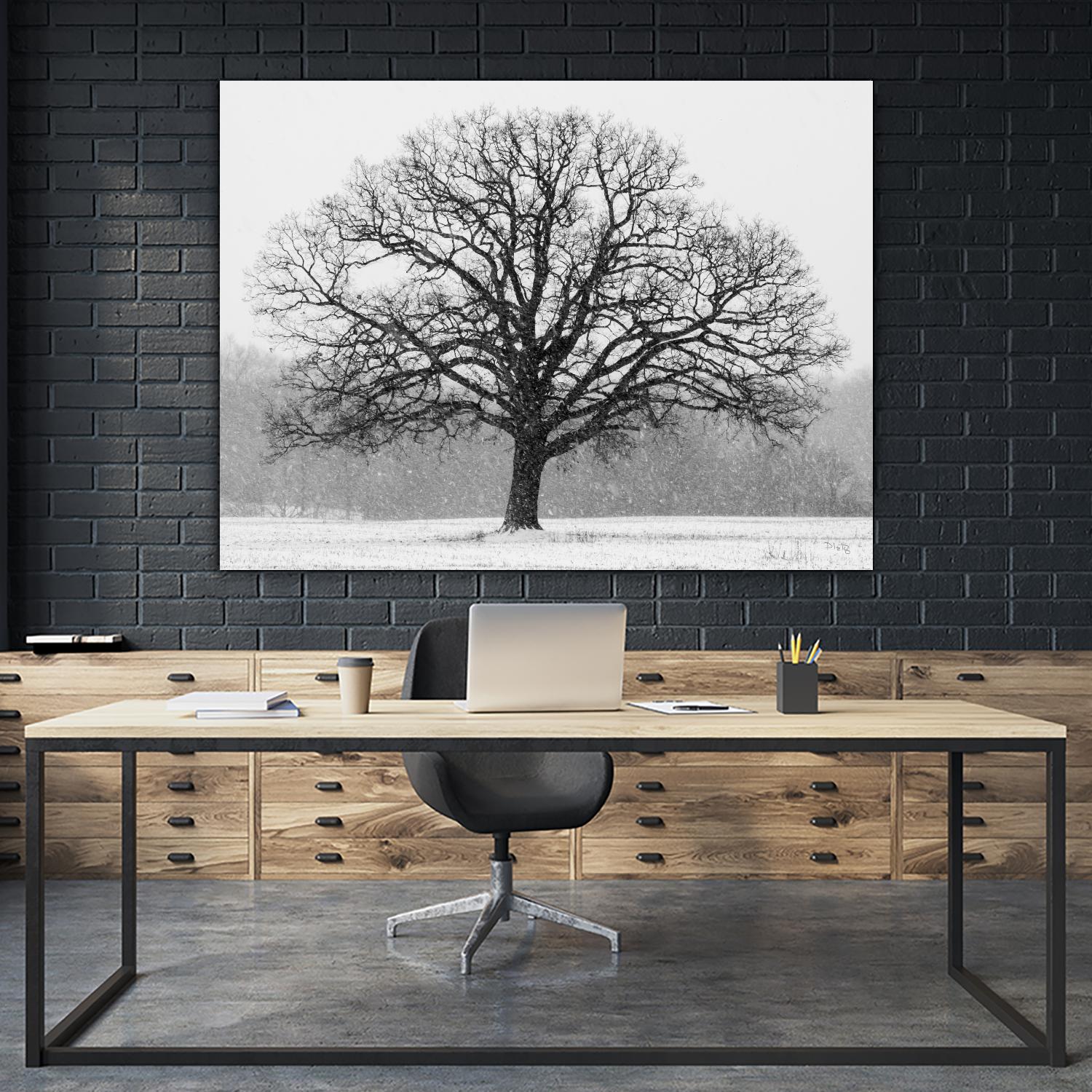 Old Man Winter by Matthew Platz on GIANT ART - multicolor photography; landscapes