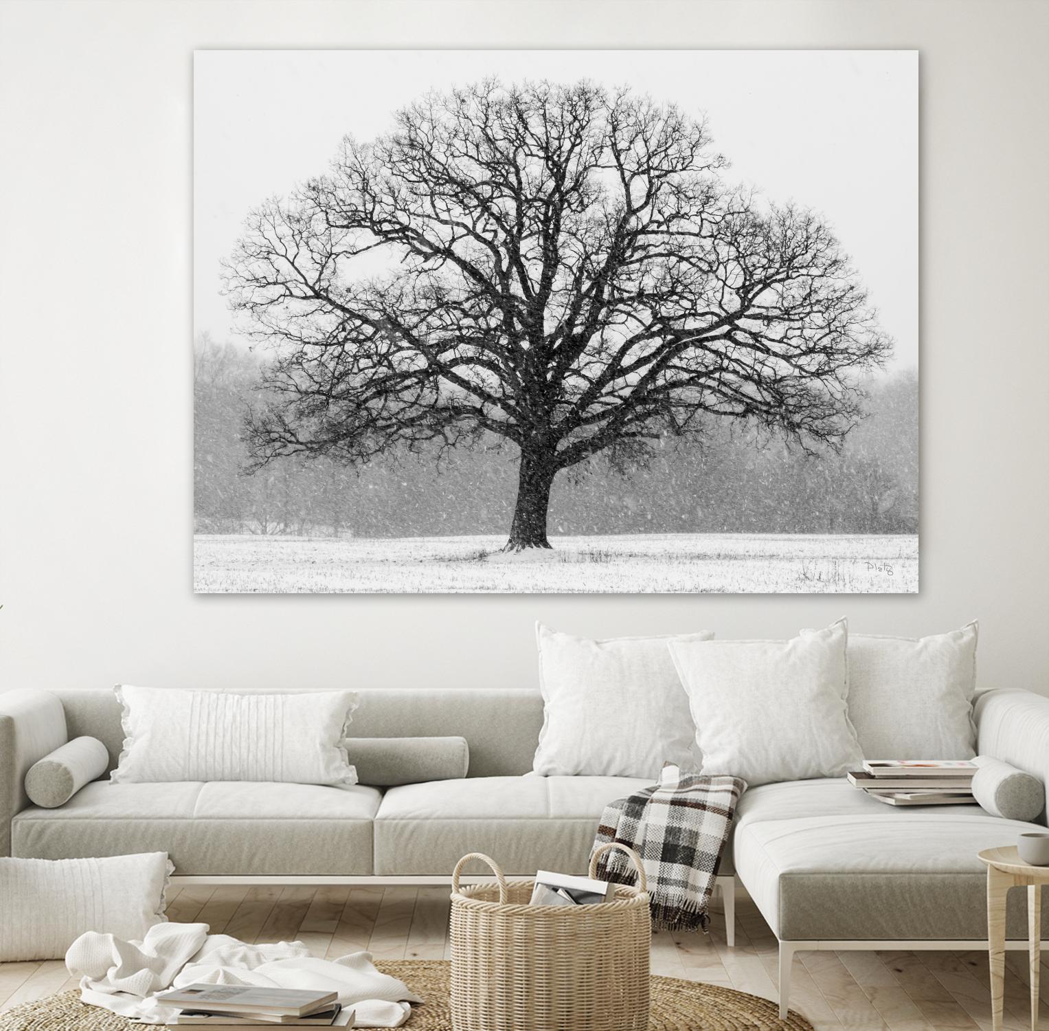 Old Man Winter by Matthew Platz on GIANT ART - multicolor photography; landscapes