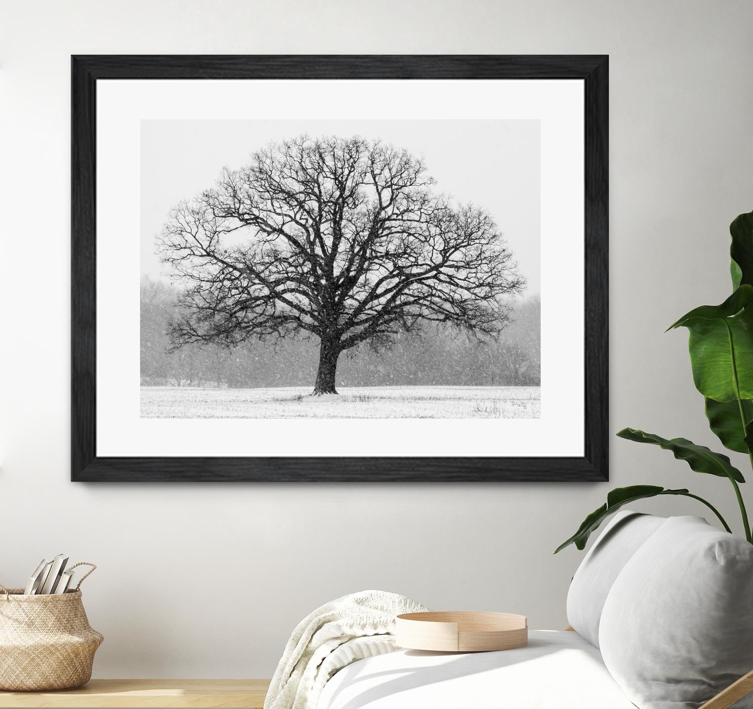 Old Man Winter by Matthew Platz on GIANT ART - multicolor photography; landscapes