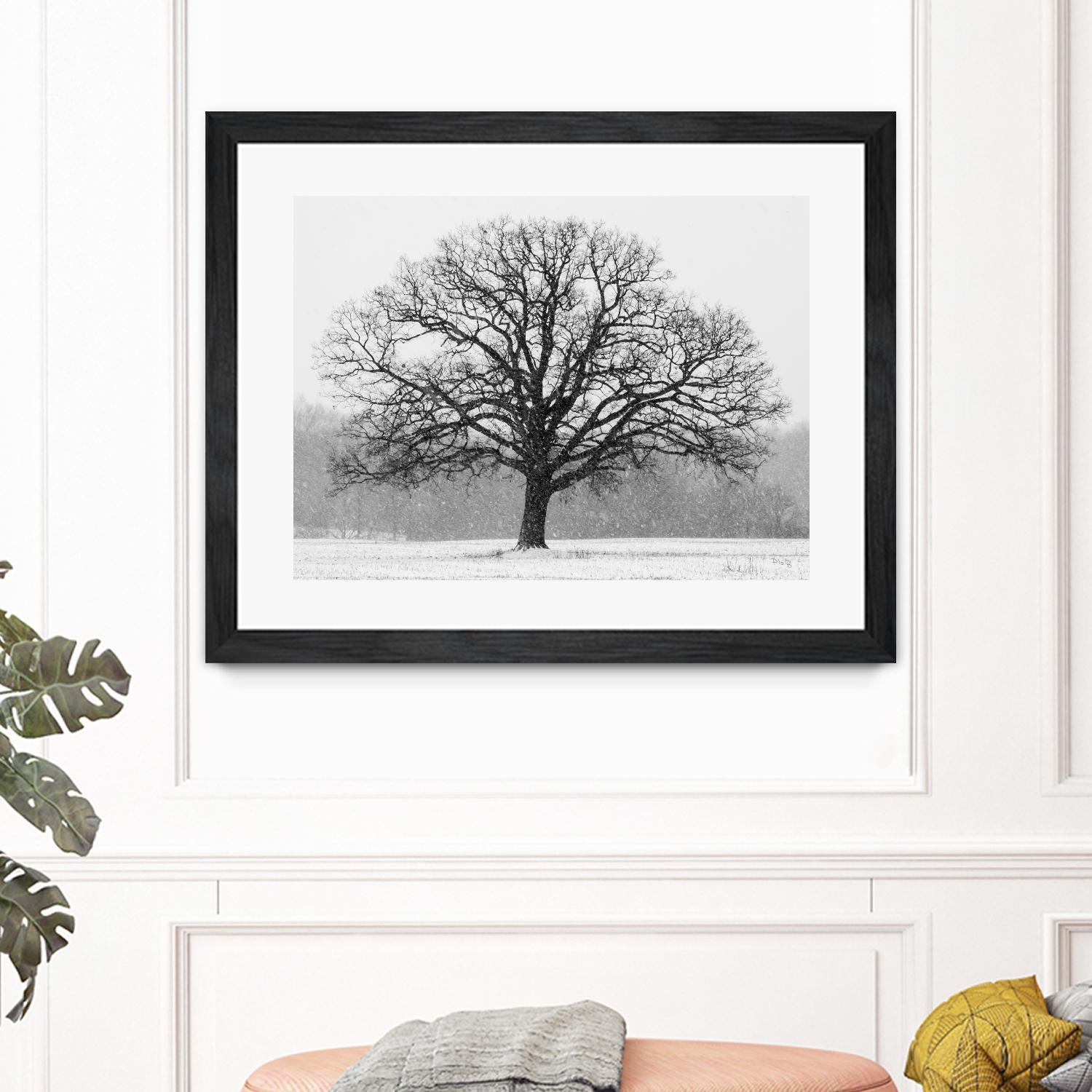 Old Man Winter by Matthew Platz on GIANT ART - multicolor photography; landscapes