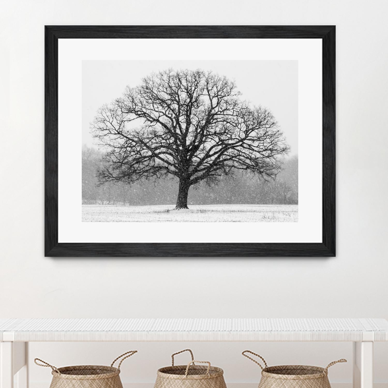 Old Man Winter by Matthew Platz on GIANT ART - multicolor photography; landscapes