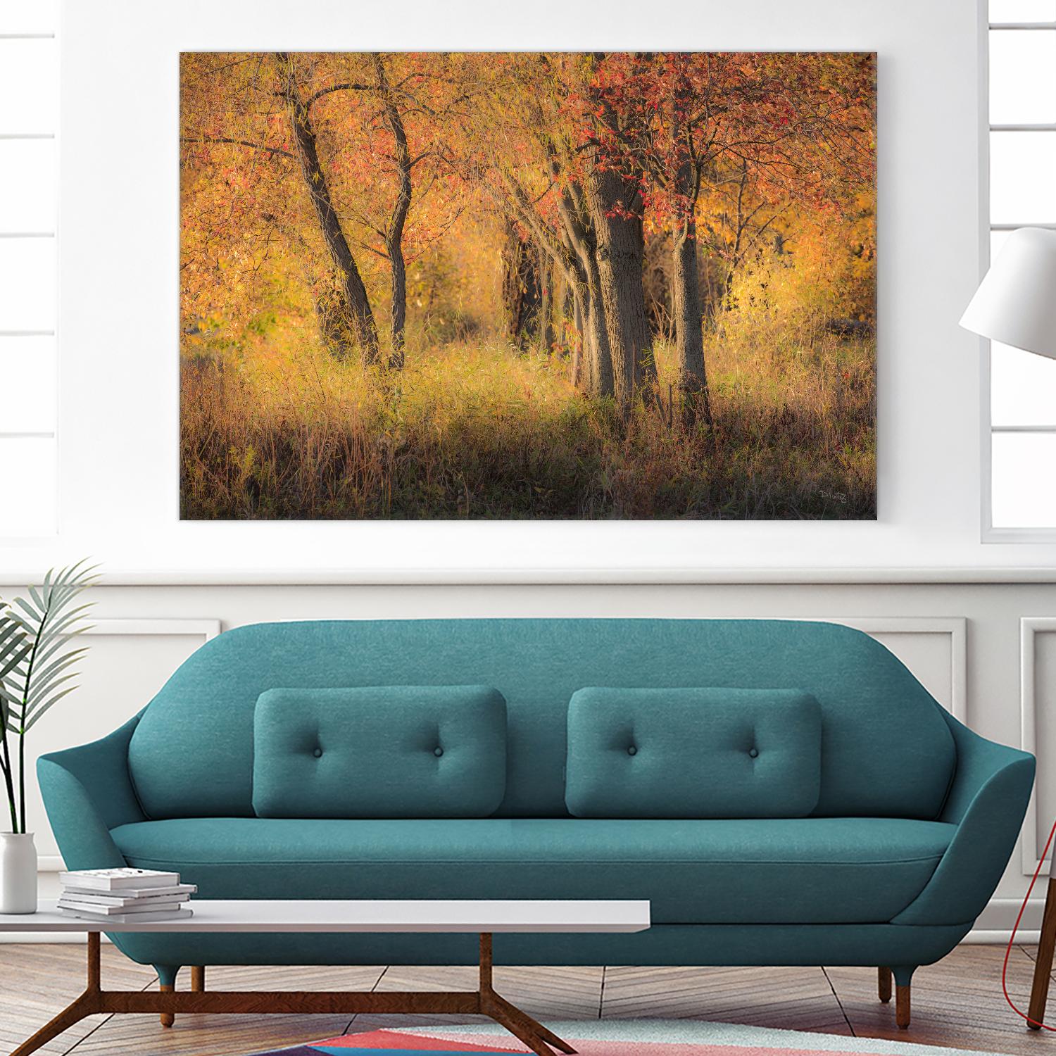 The Other Side by Matthew Platz on GIANT ART - multicolor photography; landscapes