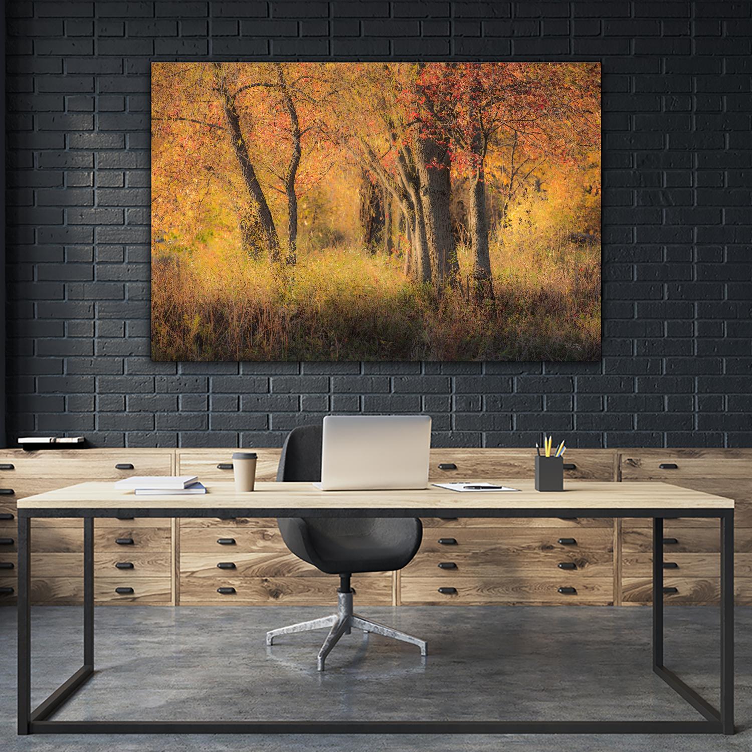 The Other Side by Matthew Platz on GIANT ART - multicolor photography; landscapes